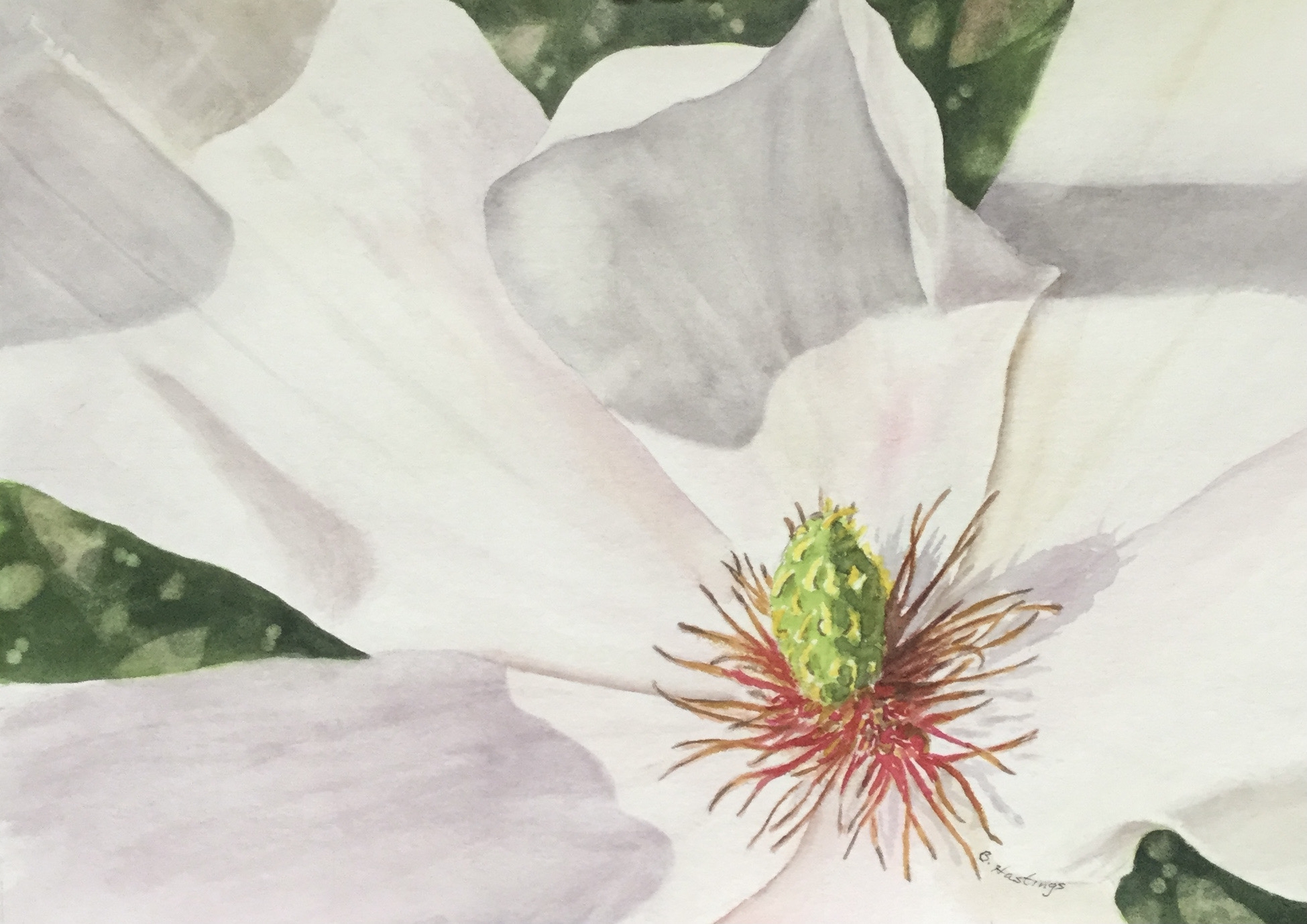 Click here to view FLEETING BEAUTY by Bonnie Hastings