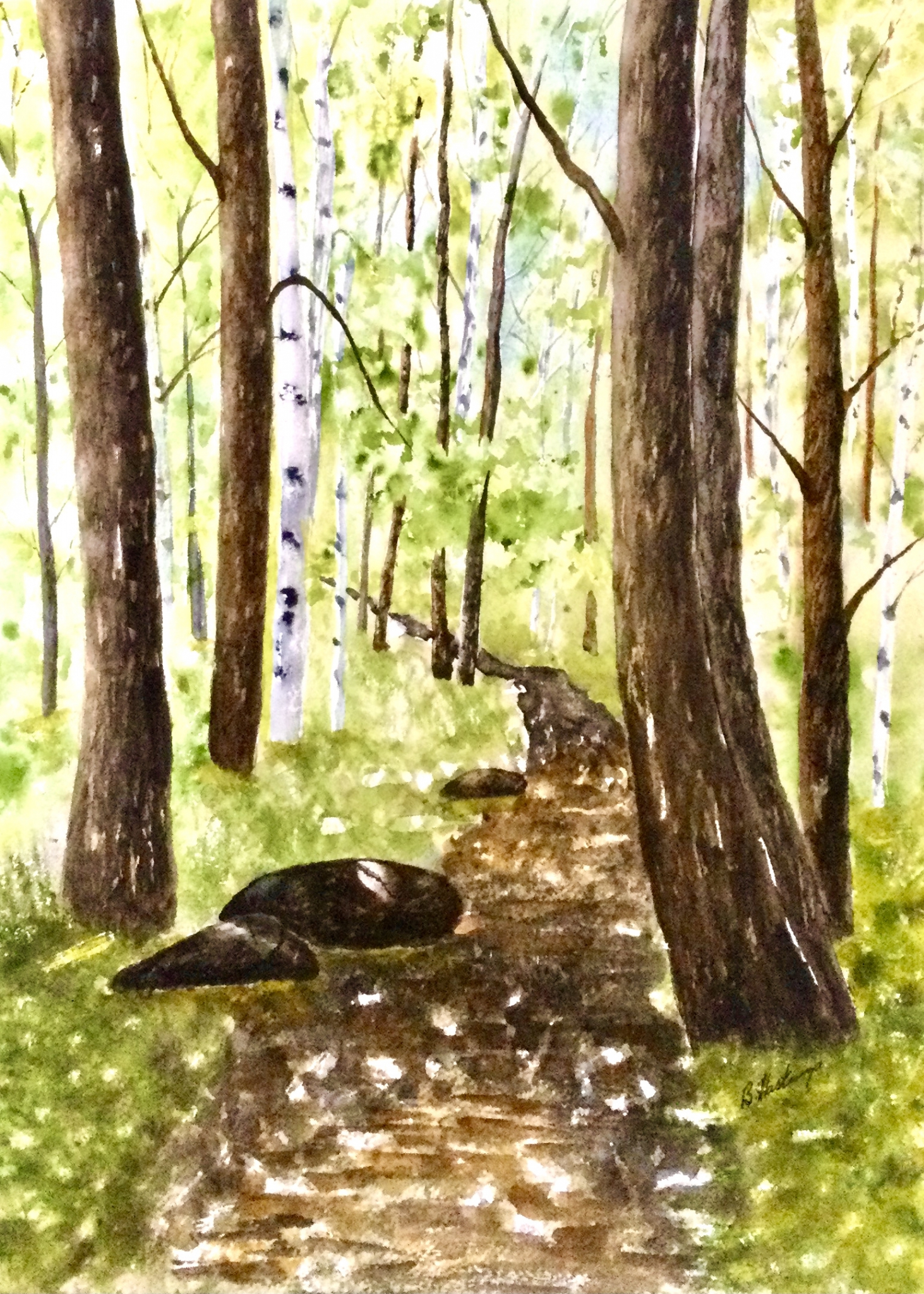 Click here to view FOREST BATHING by Bonnie Hastings