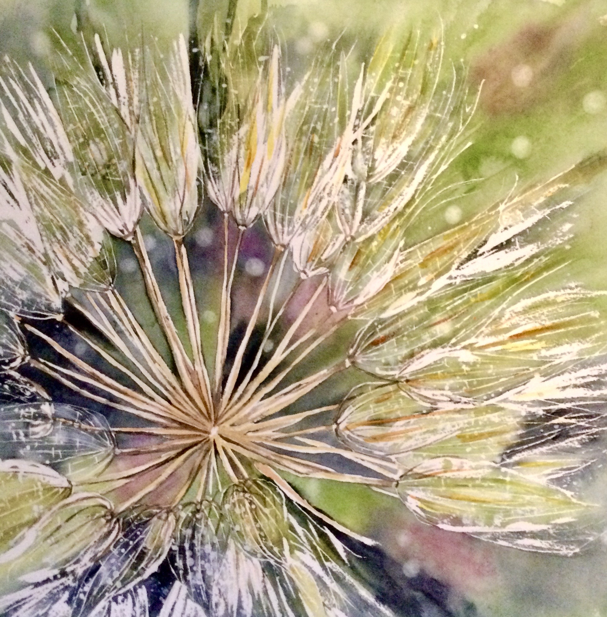 Click here to view FLUFF by Bonnie Hastings