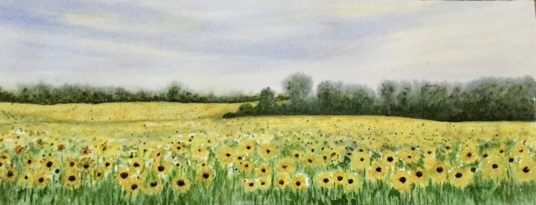 Click here to view GOLDEN FIELDS by Bonnie Hastings