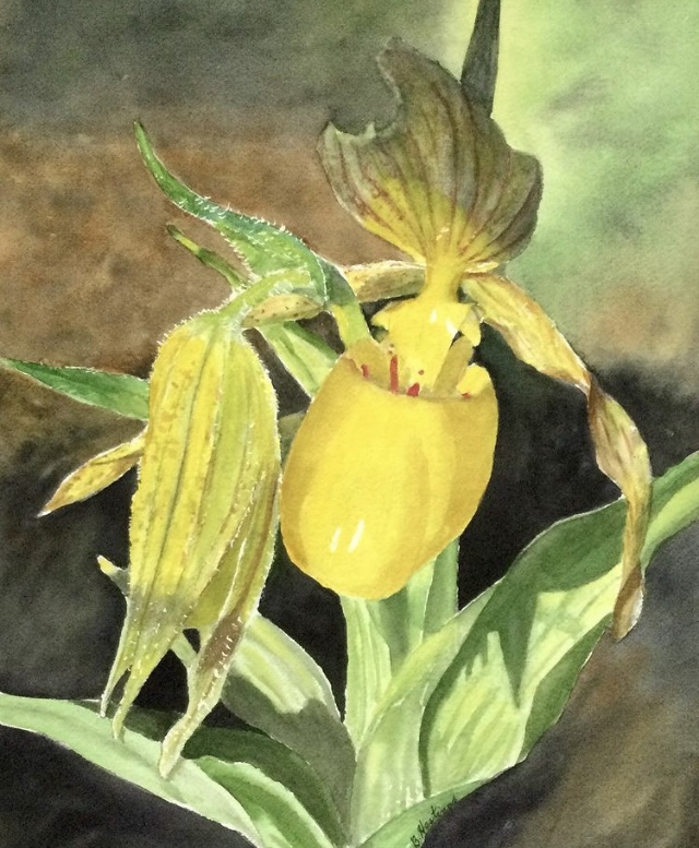 Click here to view GARDEN DELIGHT by Bonnie Hastings