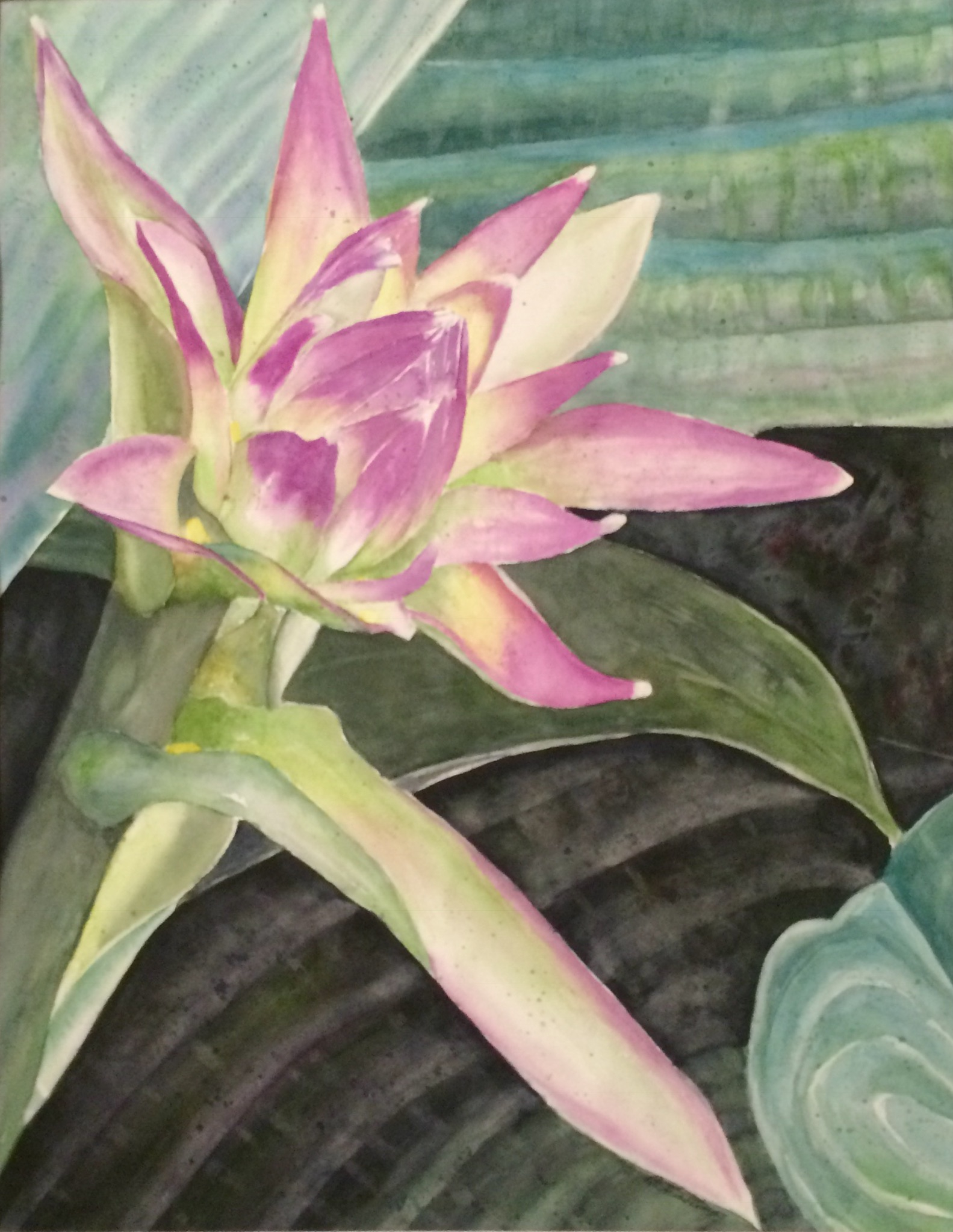 Click here to view HASTA BE HOSTA by Bonnie Hastings