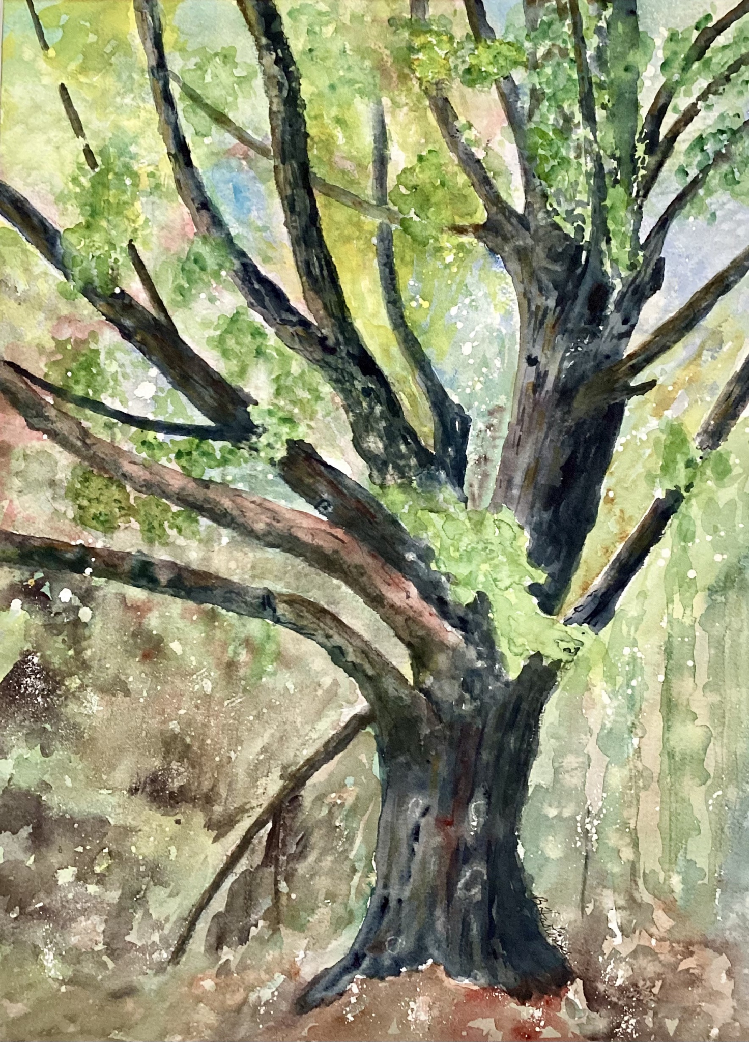 Click here to view OLD MAN OF THE WOODS by Bonnie Hastings