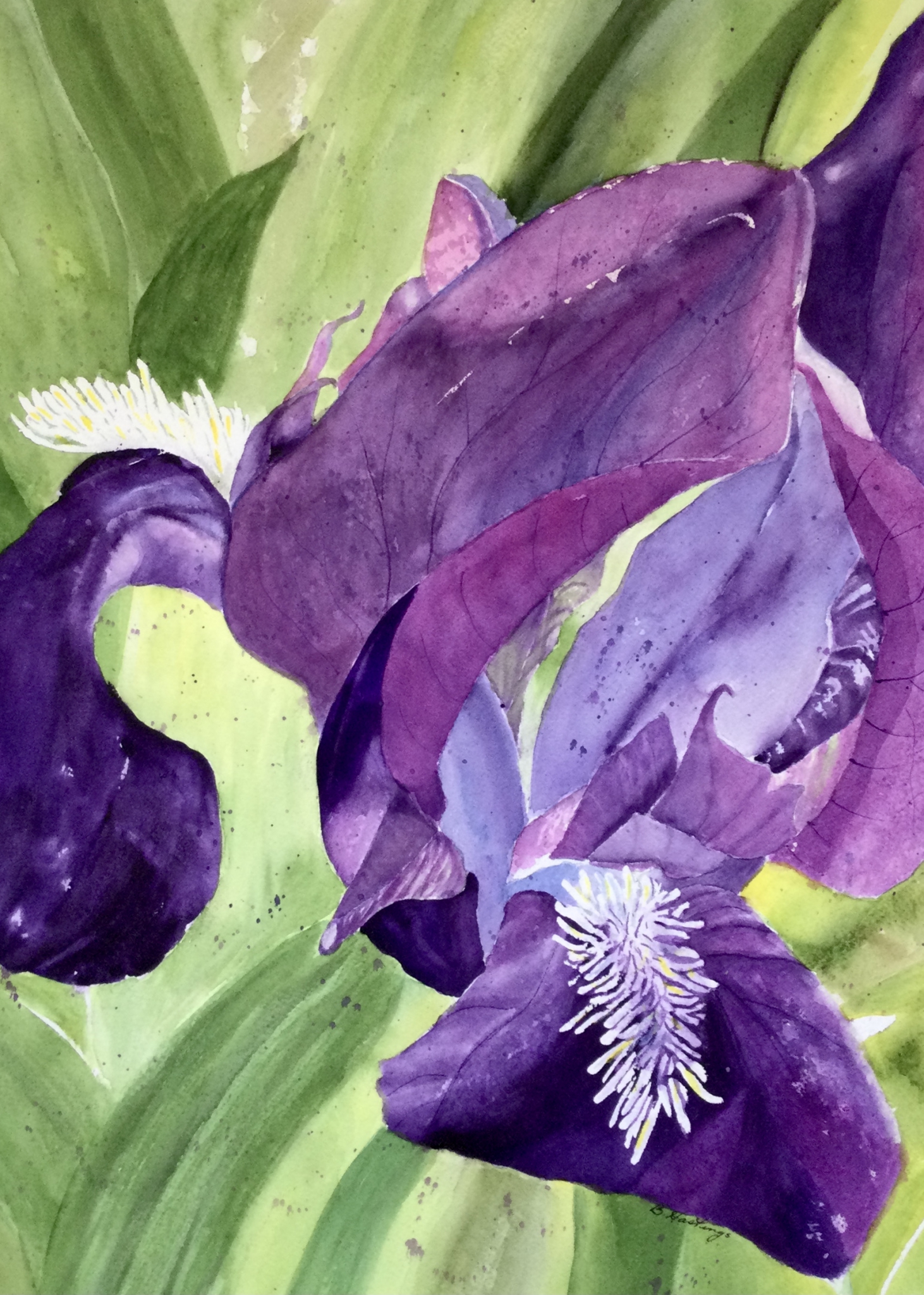 Click here to view PURPLE WISDOM by Bonnie Hastings