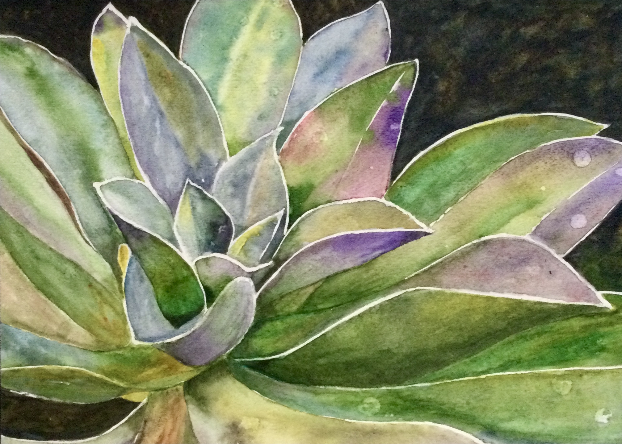 Click here to view SUCCULENT by Bonnie Hastings