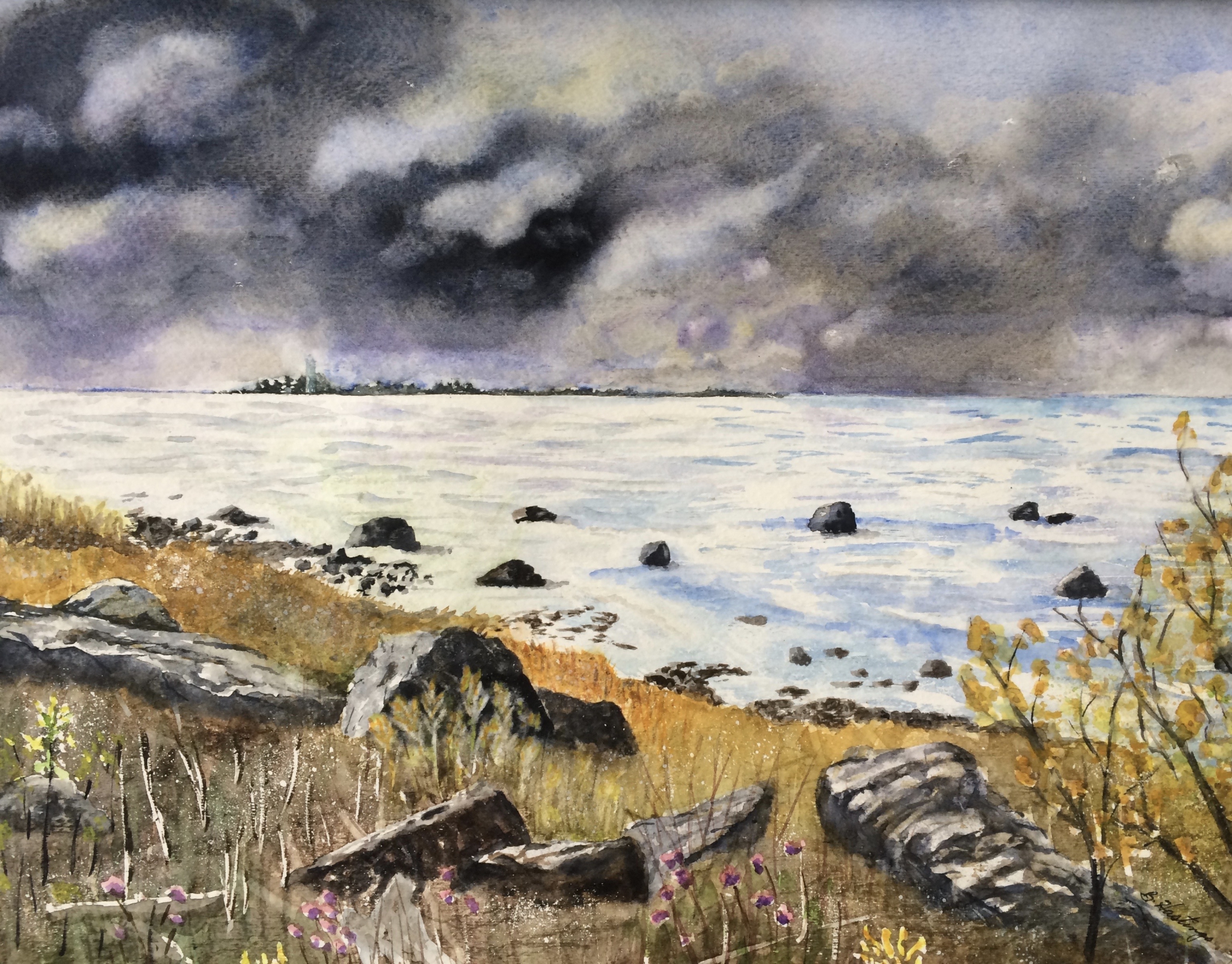 Click here to view STORM'S A-COMIN' by Bonnie Hastings