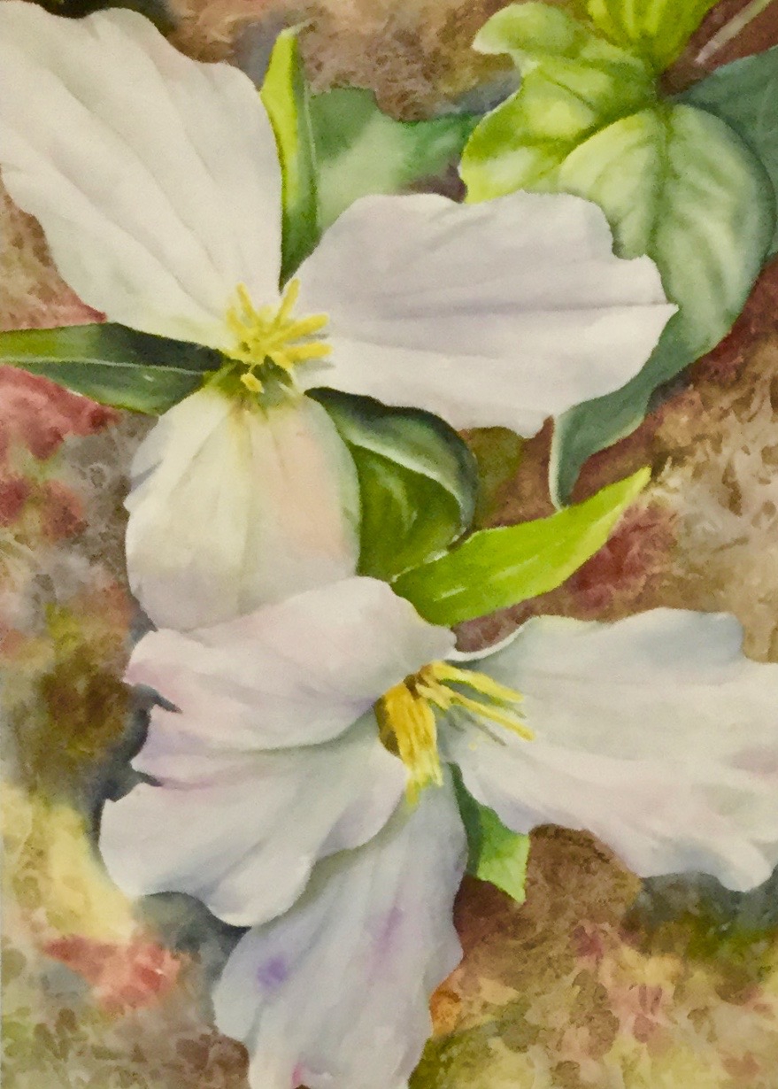 Click here to view TRILLIUM TAPESTRY by Bonnie Hastings