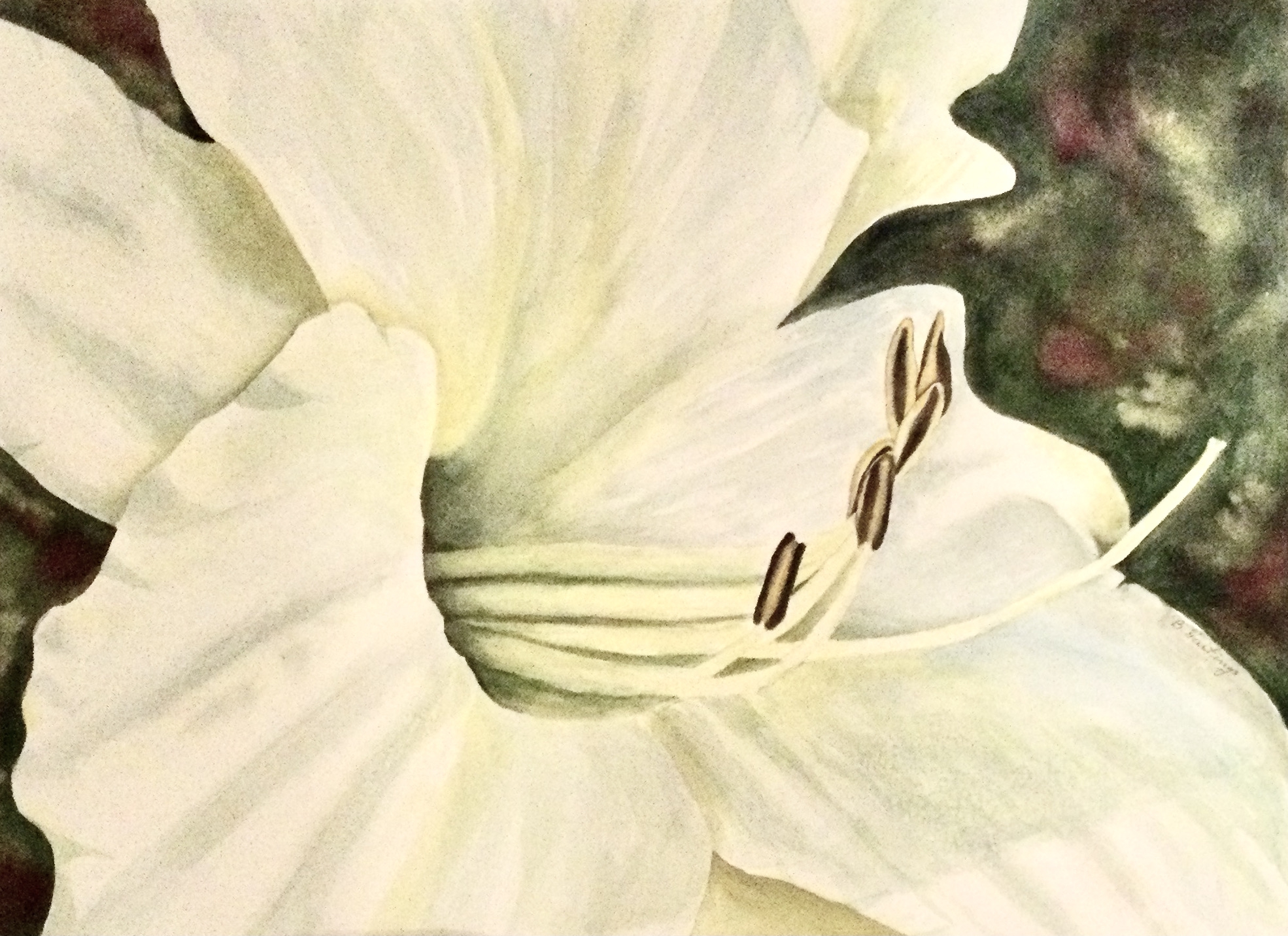Click here to view WHITE BEAUTY     by Bonnie Hastings