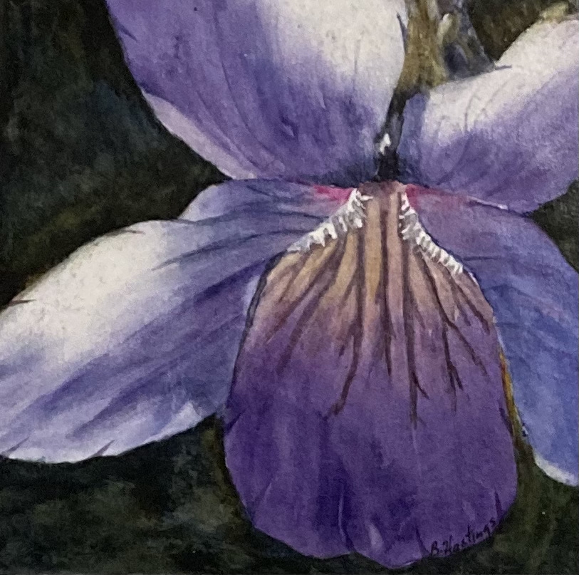 Click here to view VIOLET by Bonnie Hastings