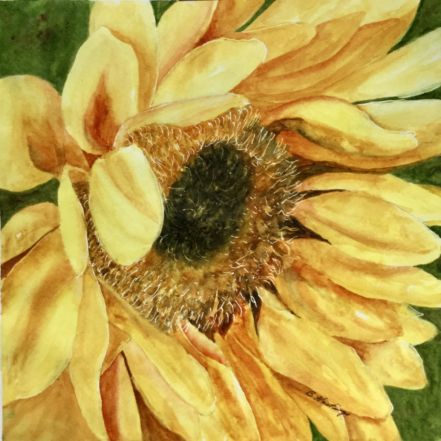 Click here to view BLOOMING BEAUTY by Bonnie Hastings