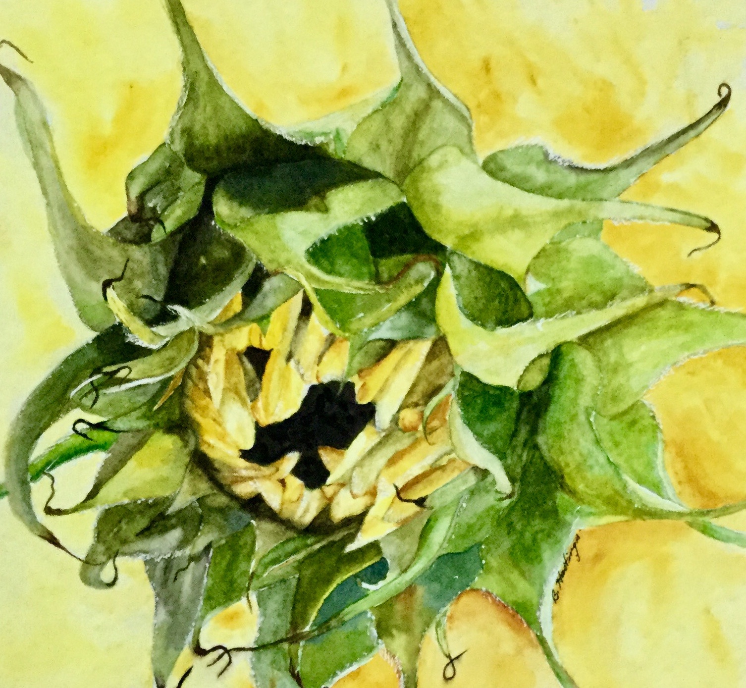 Click here to view EMERGING by Bonnie Hastings