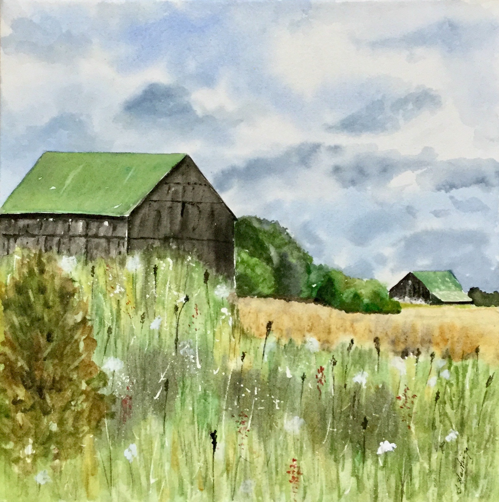 Click here to view GREEN ROOFS by Bonnie Hastings
