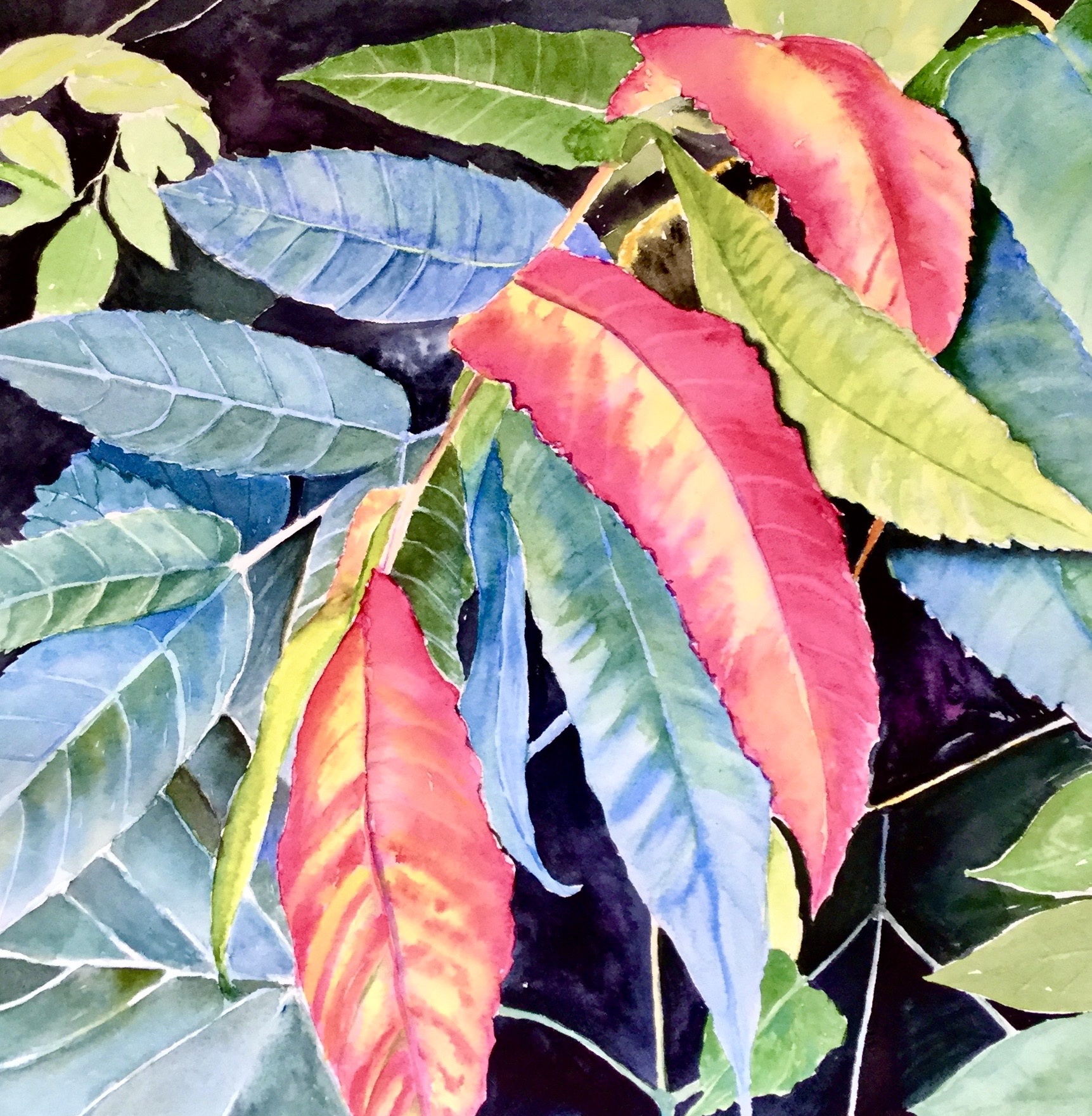 Click here to view SEASON CHANGE by Bonnie Hastings