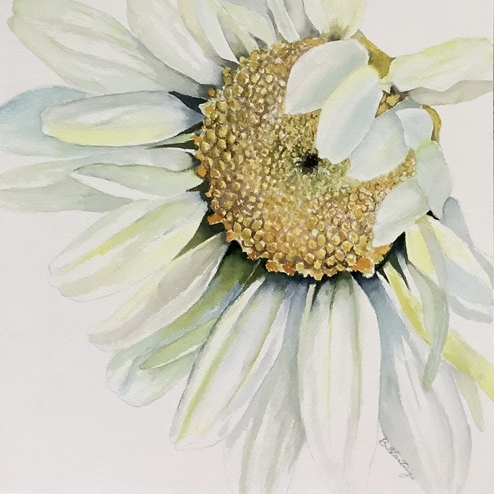 Click here to view HE LOVES ME NOT by Bonnie Hastings