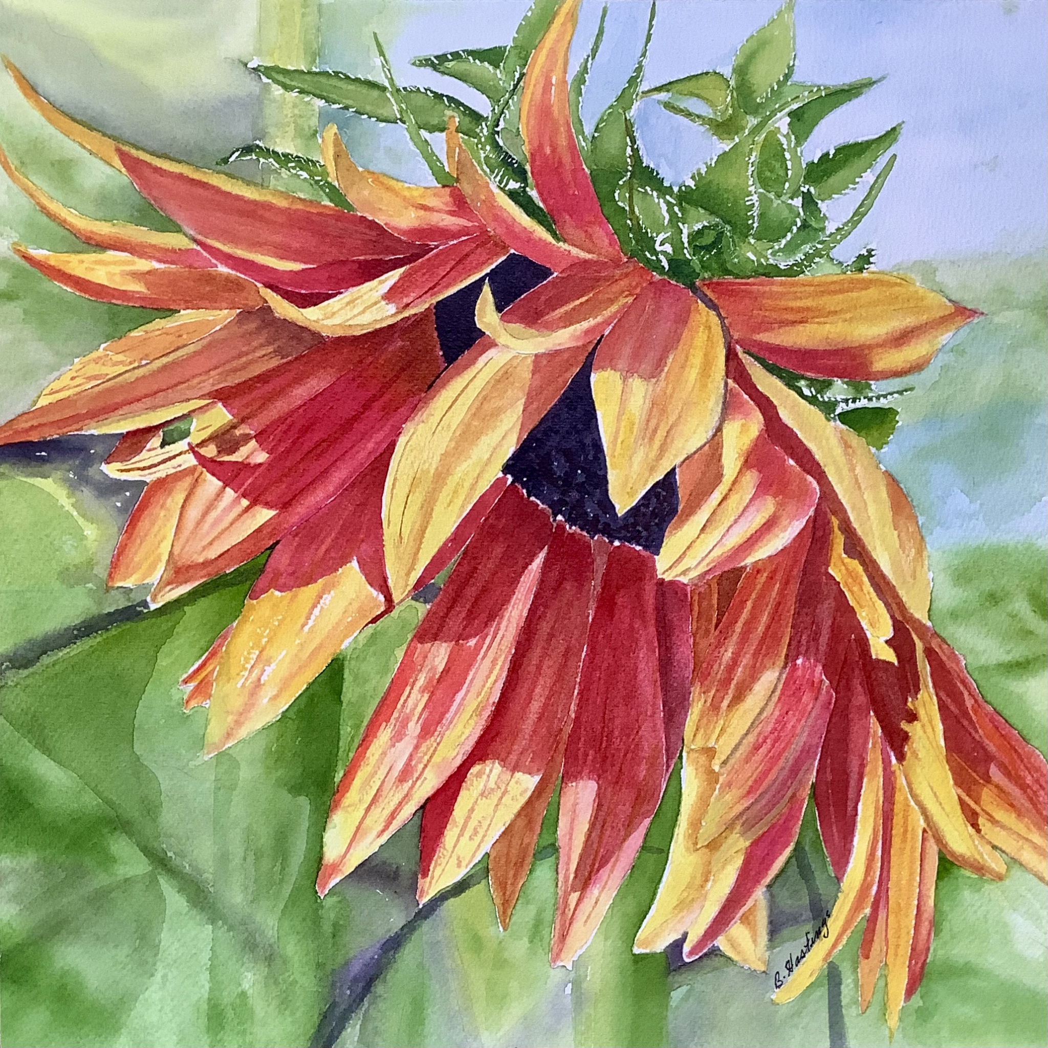 Click here to view BASHFUL by Bonnie Hastings