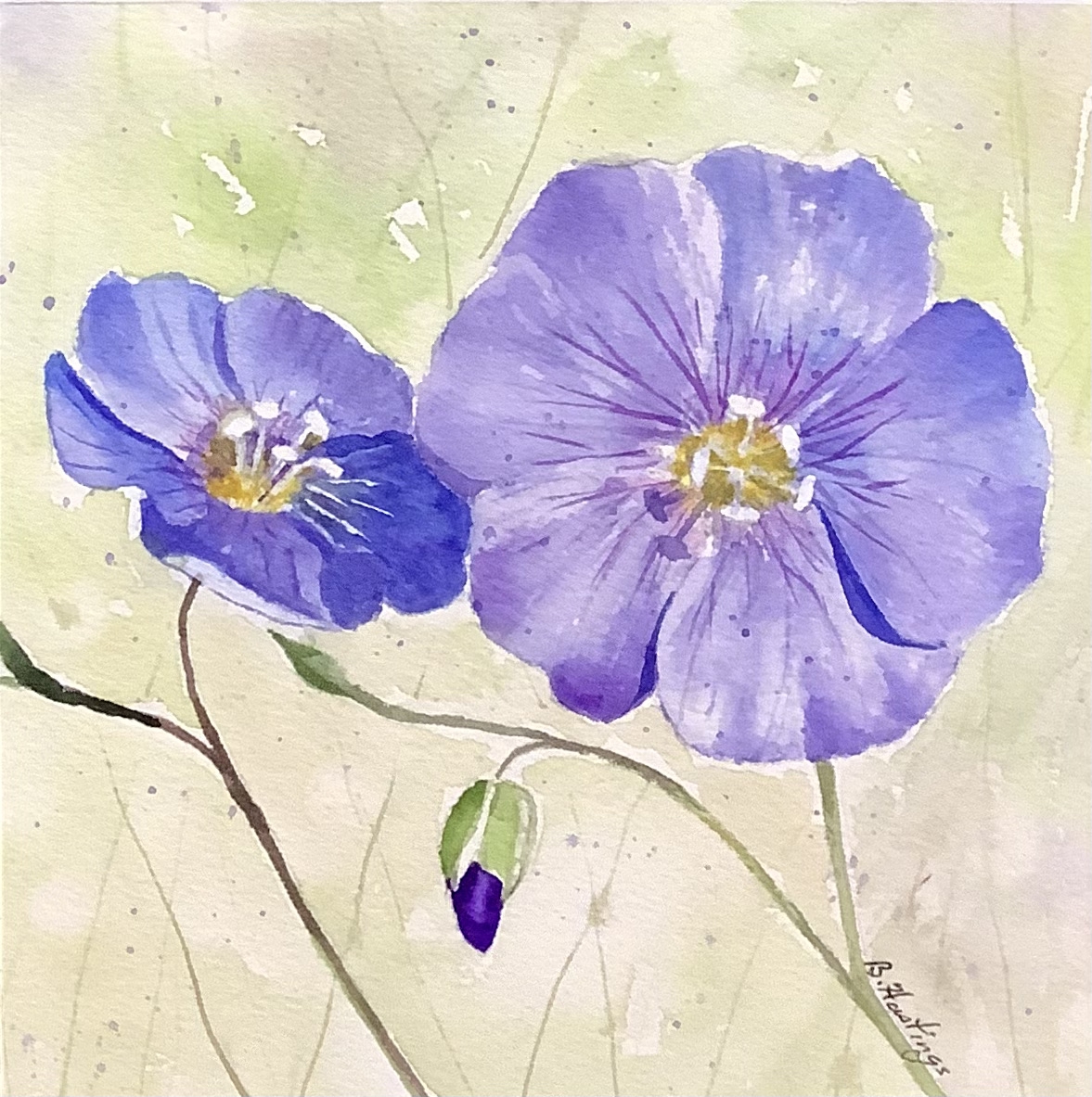 Click here to view FLAX by Bonnie Hastings