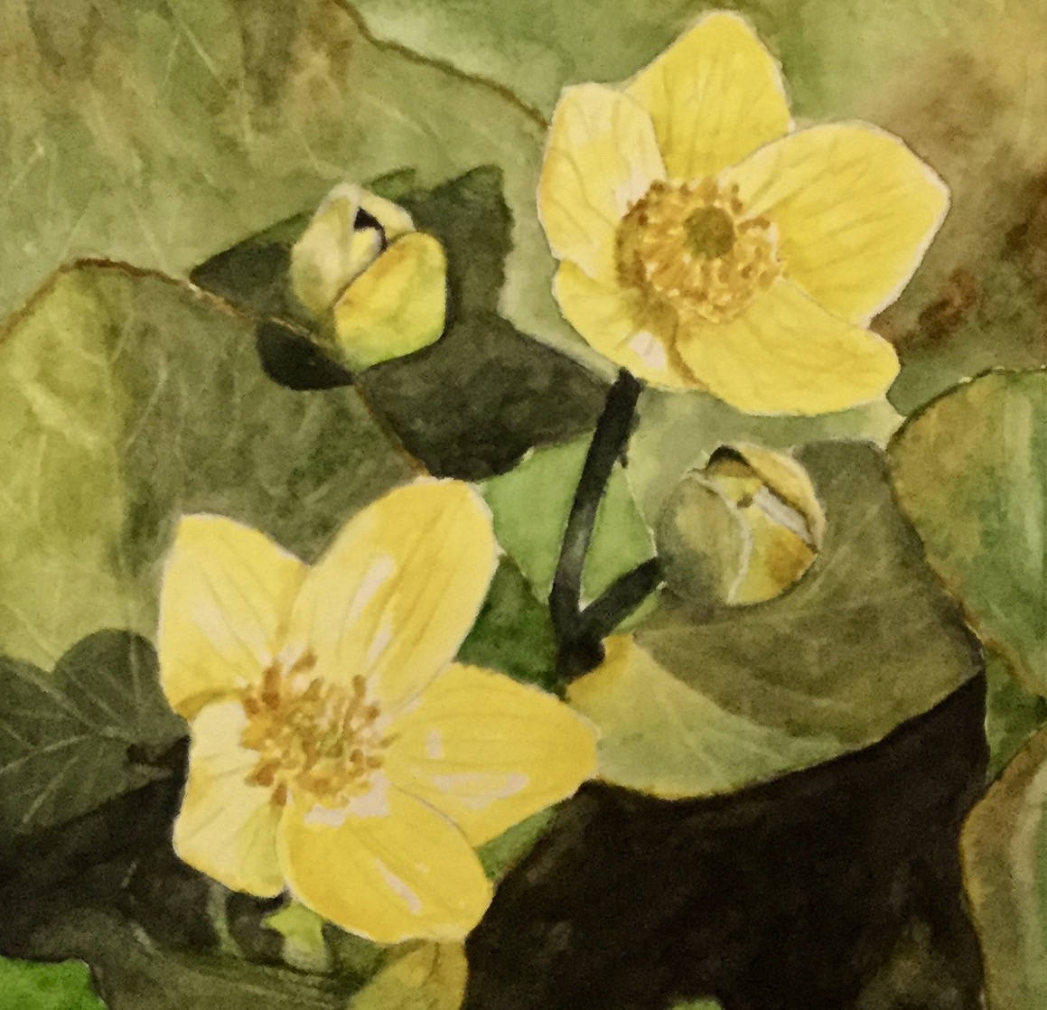 Click here to view HERB OF THE SUN by Bonnie Hastings