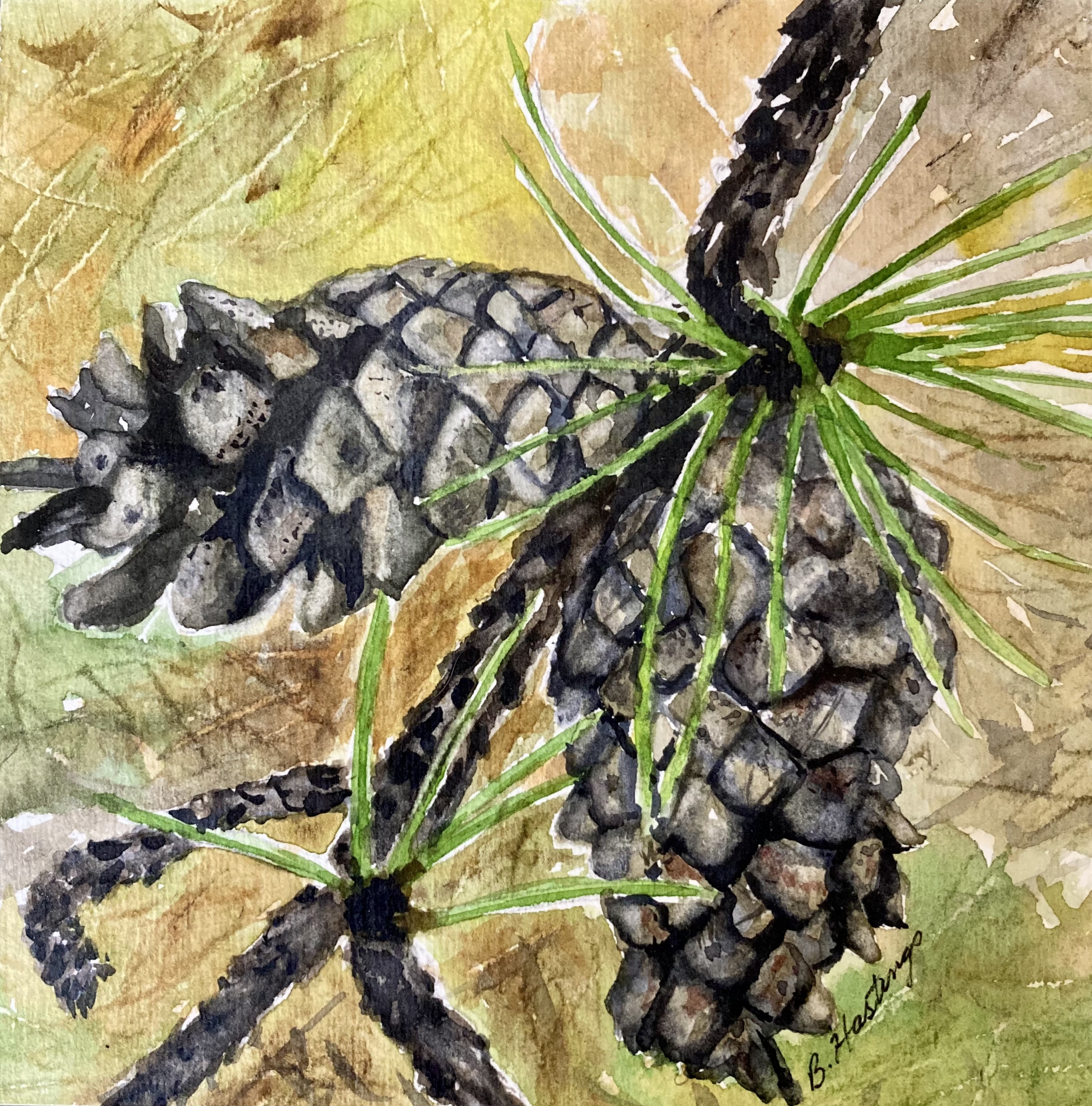 Click here to view STROBILI by Bonnie Hastings