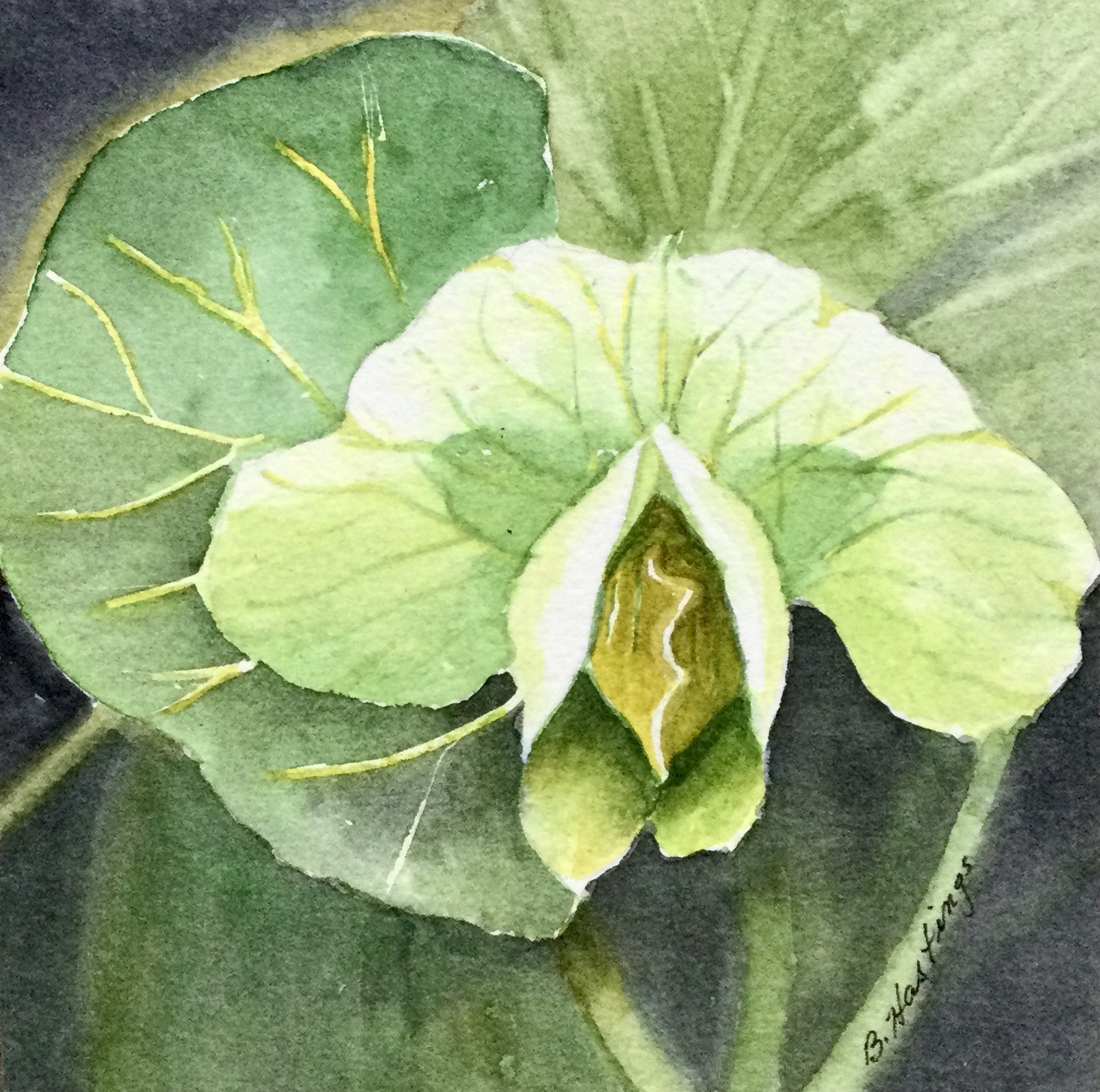 Click here to view STUDY IN GREEN by Bonnie Hastings