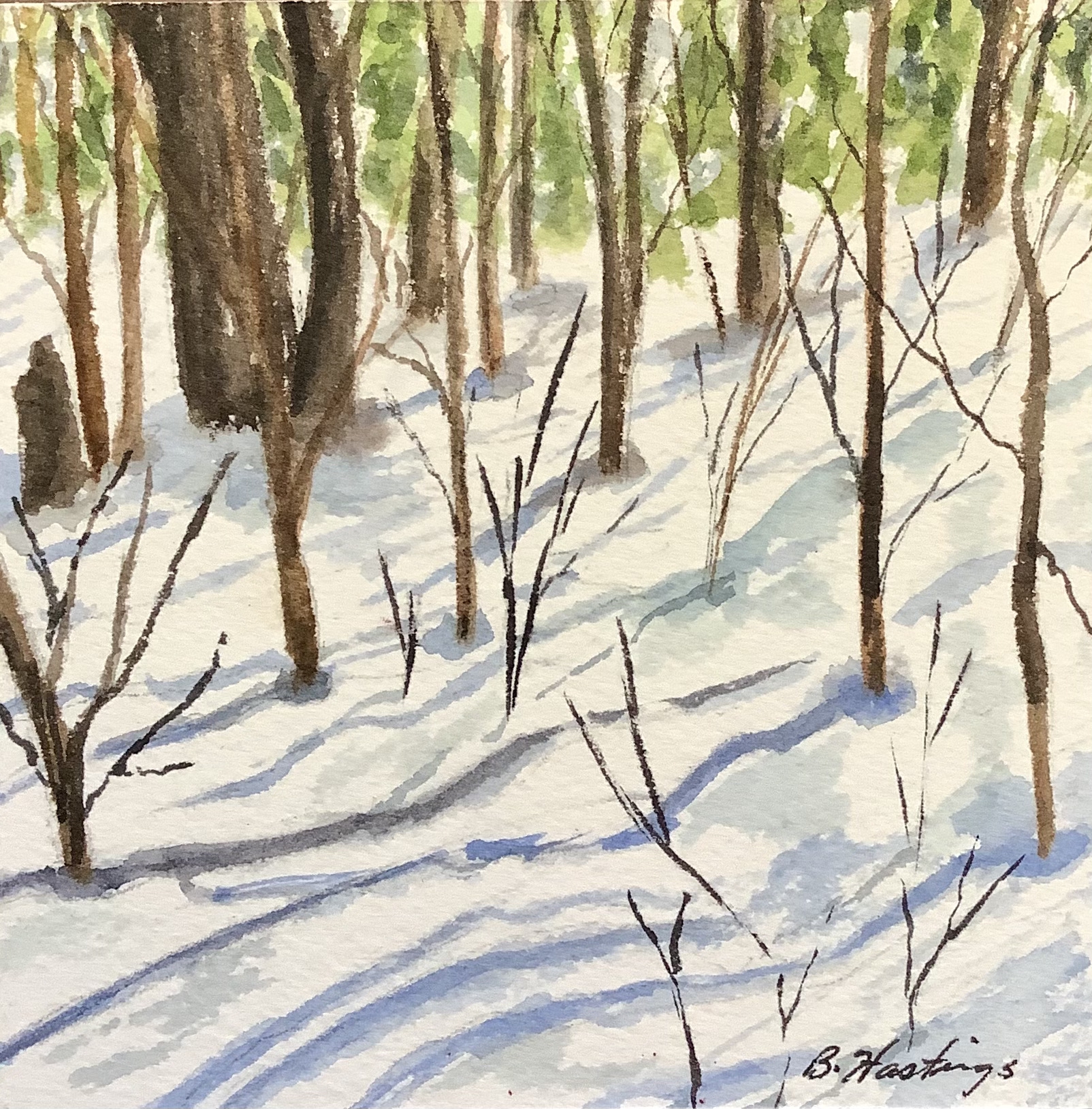 Click here to view SHADOWS by Bonnie Hastings