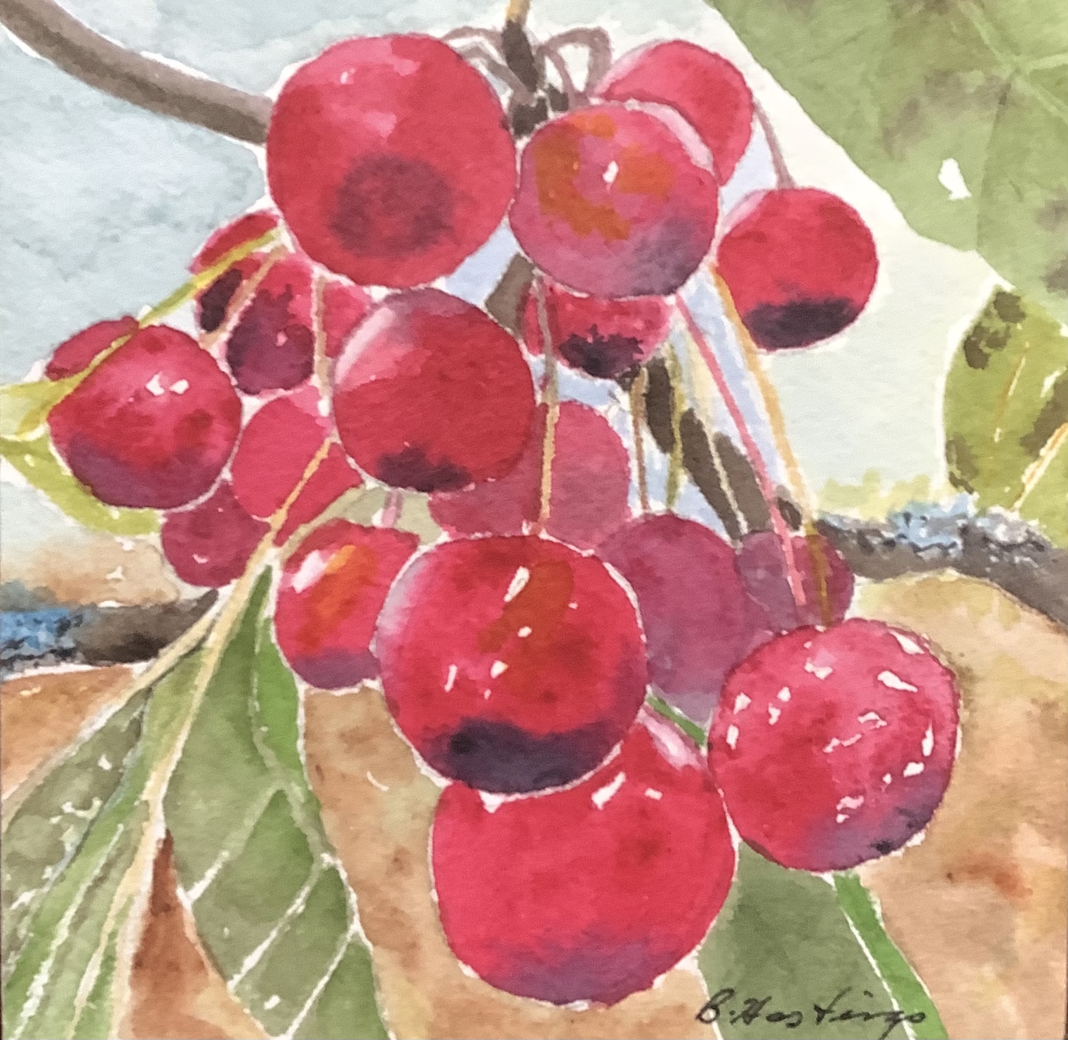 Click here to view CRAB APPLES by Bonnie Hastings