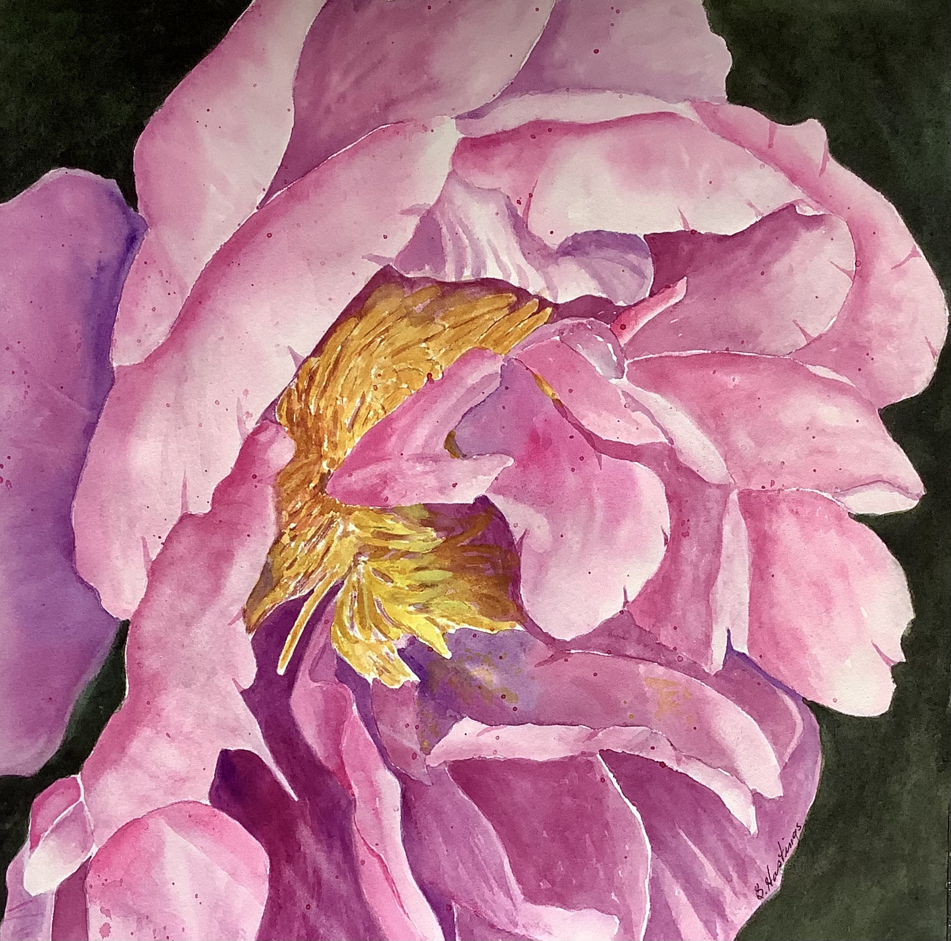 Click here to view BLOOMING LOVE by Bonnie Hastings