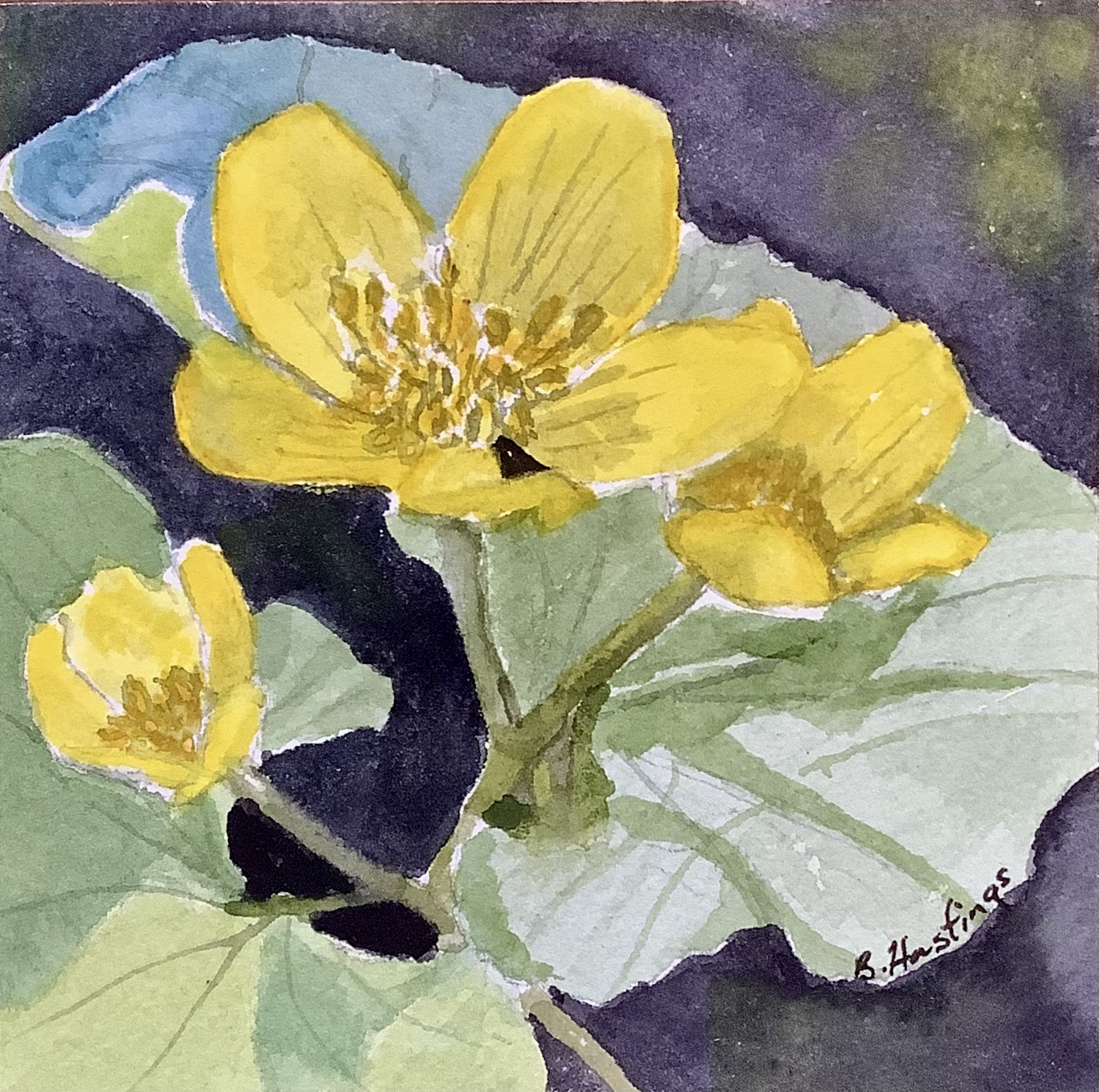 Click here to view Marigolds   by Bonnie Hastings