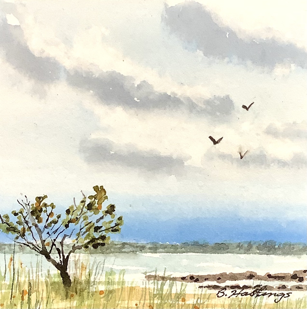 Click here to view MacGregor Park by Bonnie Hastings