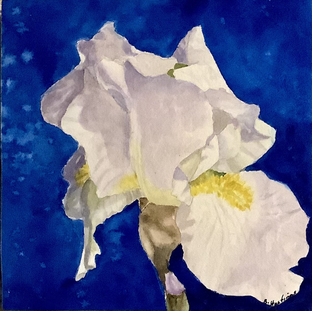 Click here to view Shining Through the Blues by Bonnie Hastings