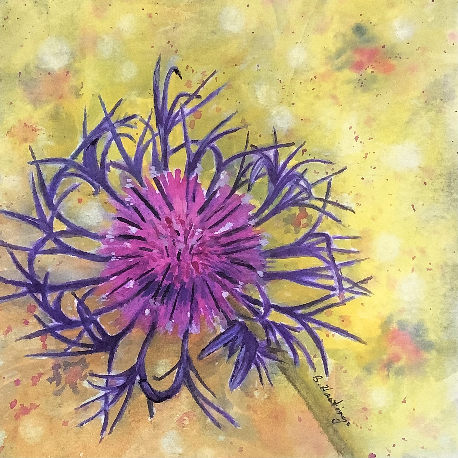 Click here to view Mountain Cornflower by Bonnie Hastings