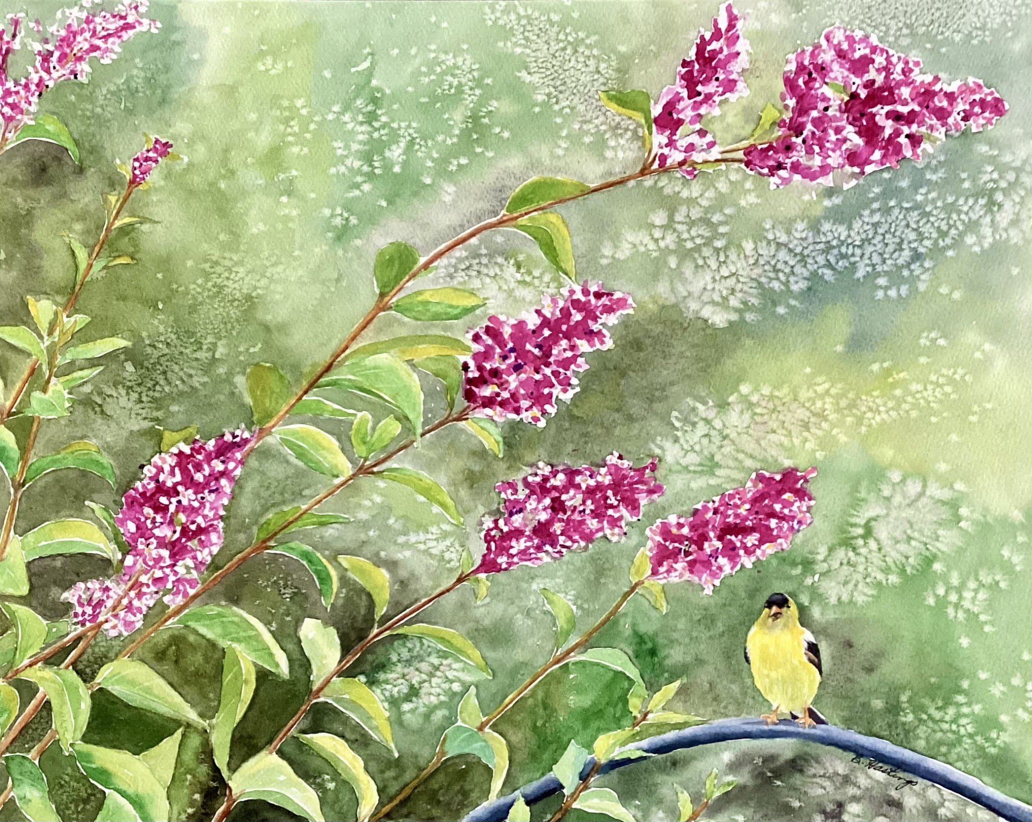 Click here to view Jubilate by Bonnie Hastings