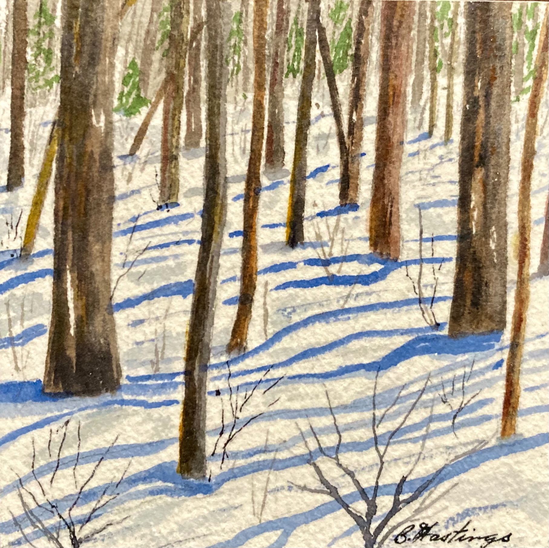 Click here to view Winter Woods by Bonnie Hastings