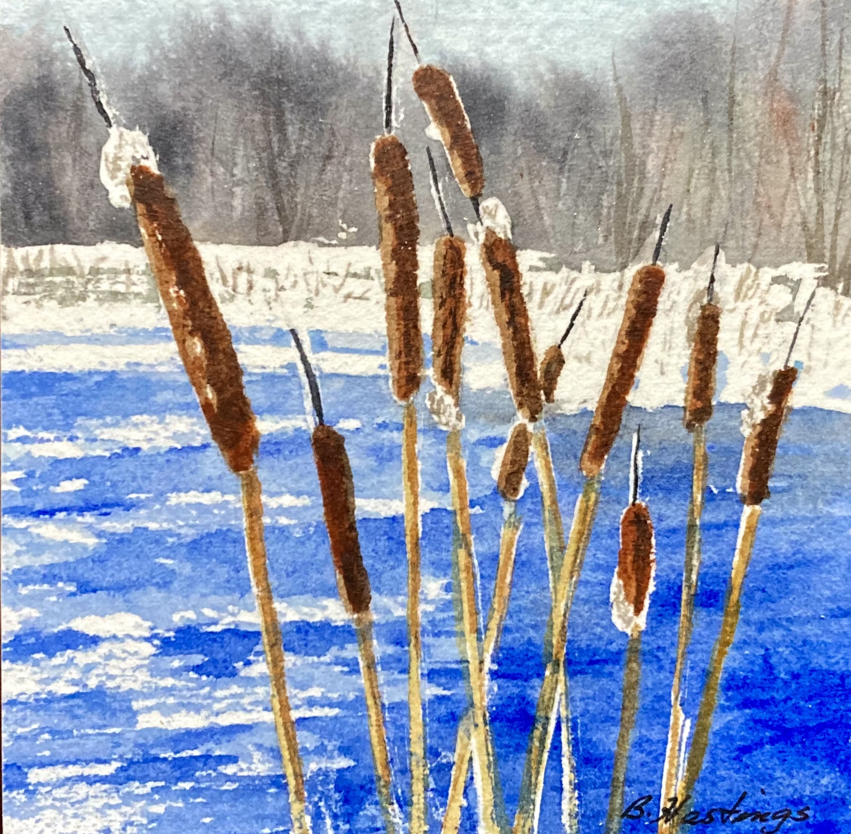Click here to view Bulrushes by Bonnie Hastings