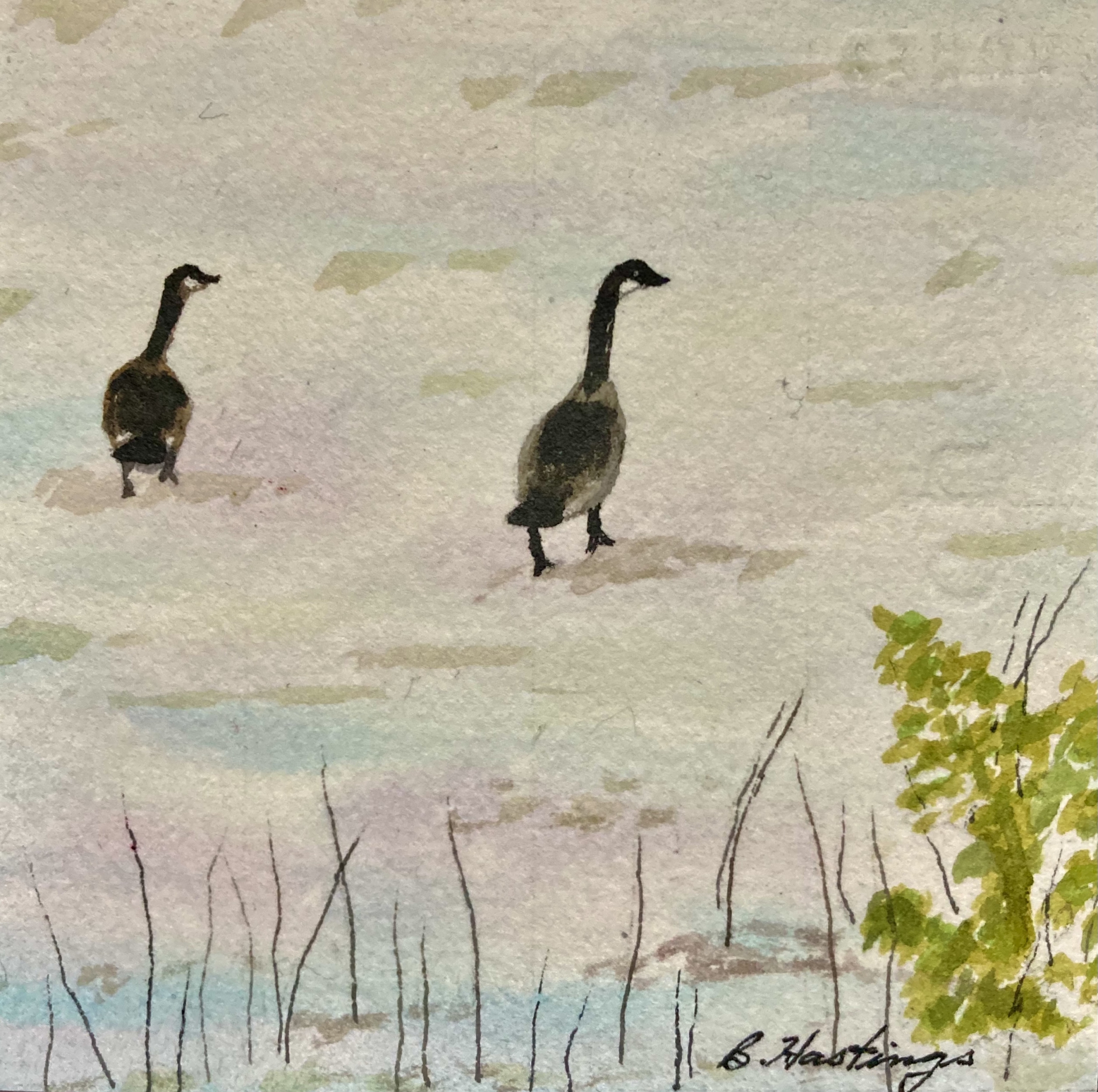 Click here to view Leave Us Alone  by Bonnie Hastings