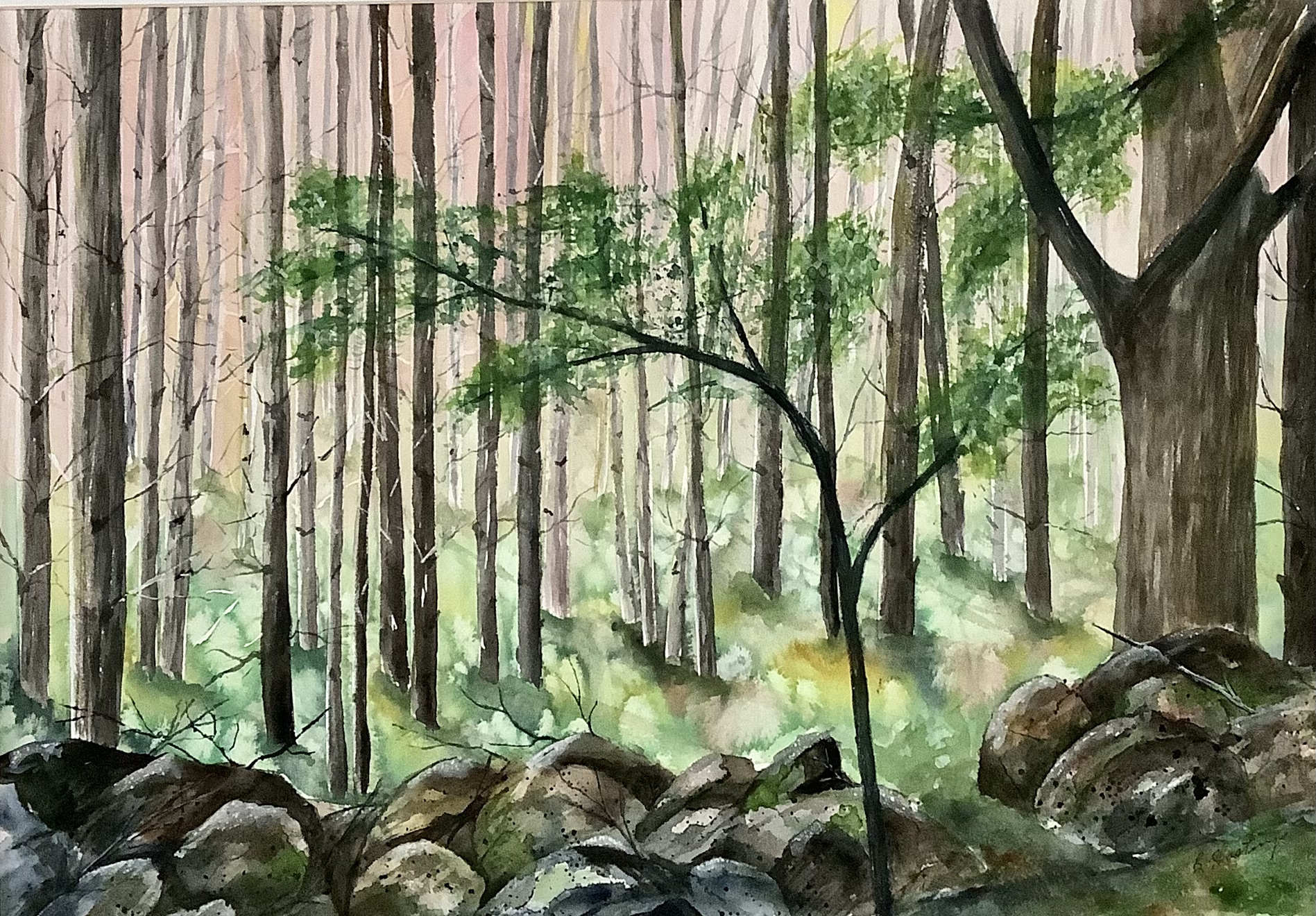 Click here to view Cedar Woods by Bonnie Hastings