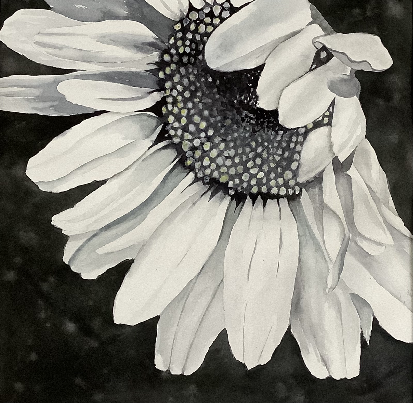 Click here to view Demure by Bonnie Hastings