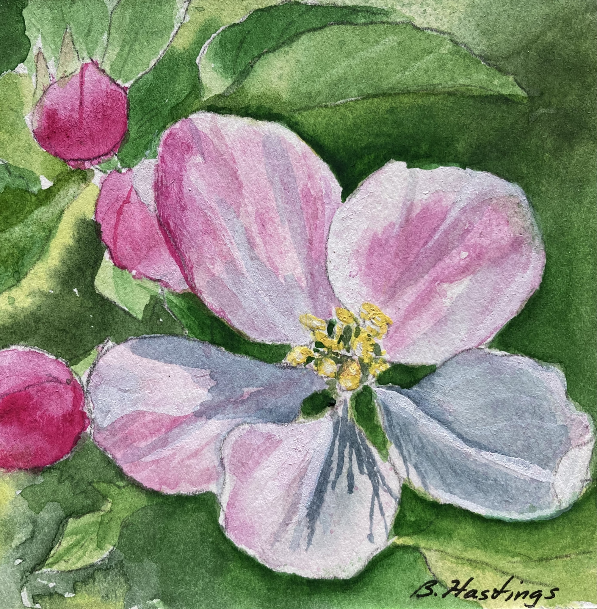 Click here to view Spring by Bonnie Hastings