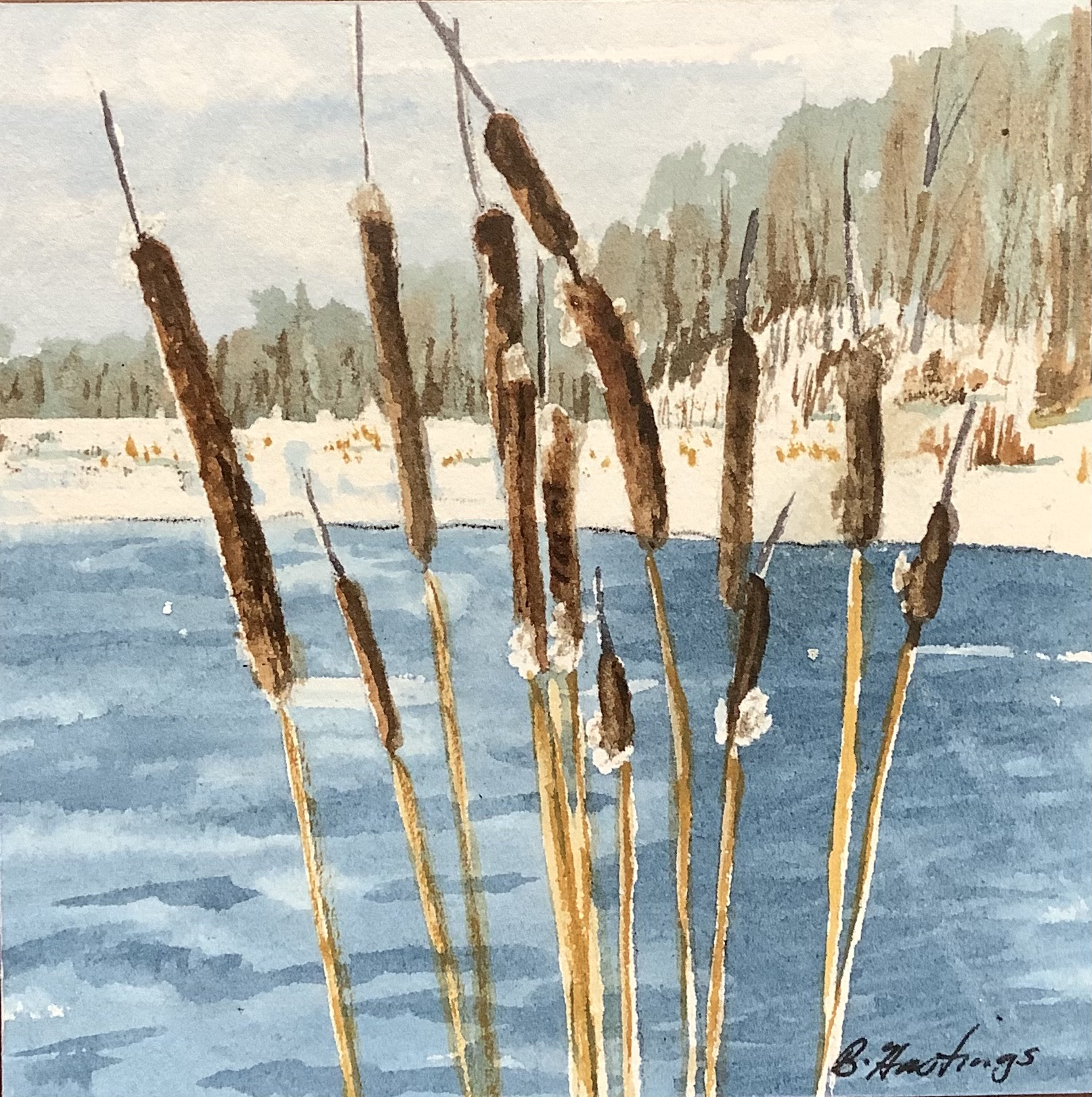 Click here to view Cattails by Bonnie Hastings