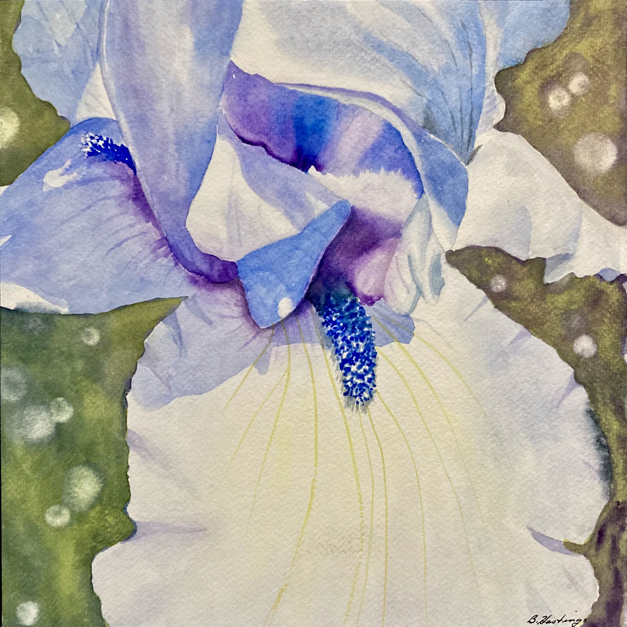 Click here to view Into The Blue by Bonnie Hastings