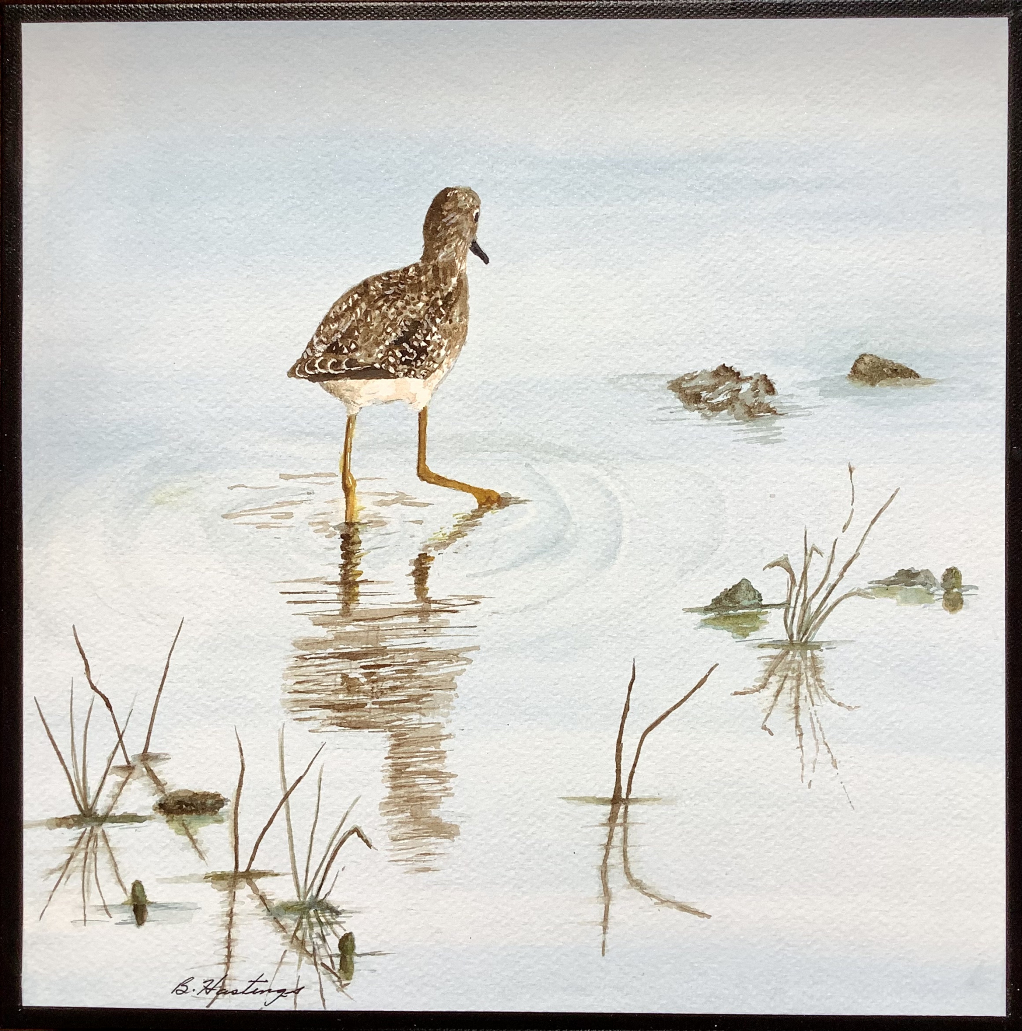 Click here to view Looking For dinner #2 by Bonnie Hastings