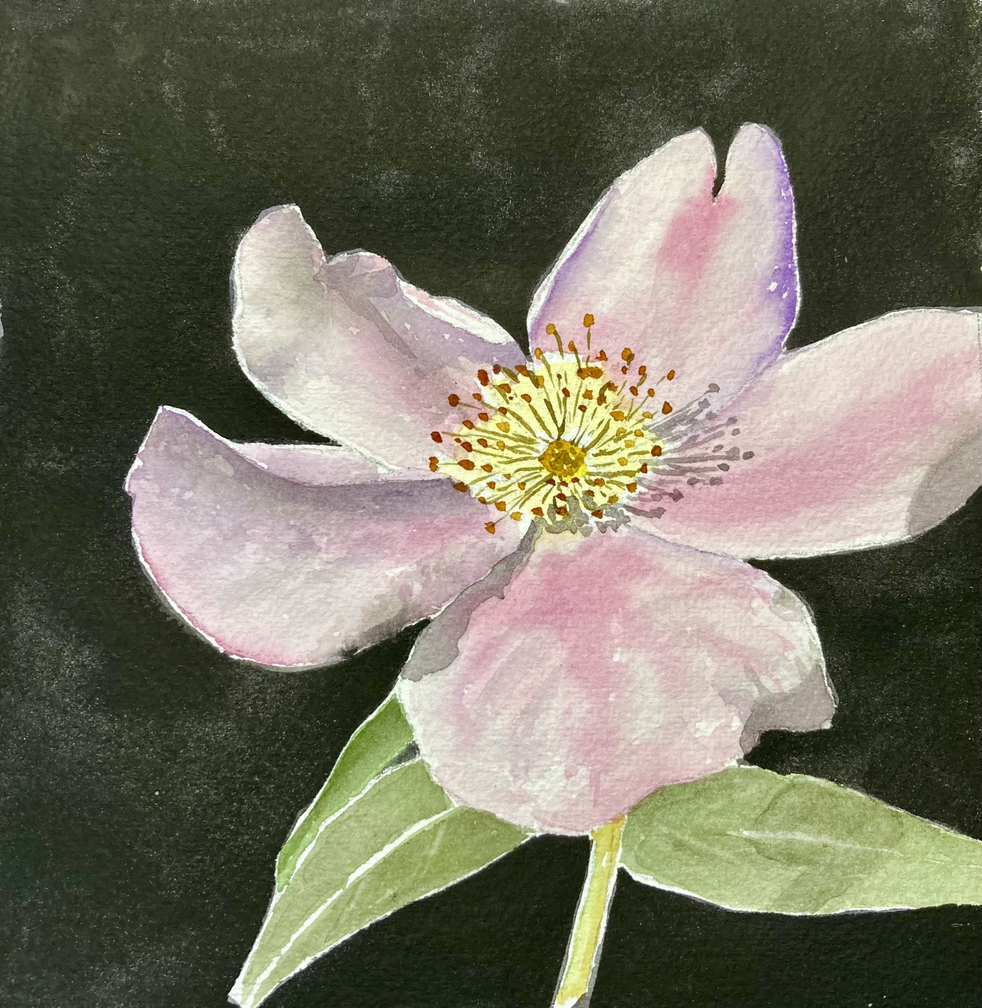 Click here to view Prairie Rose by Bonnie Hastings