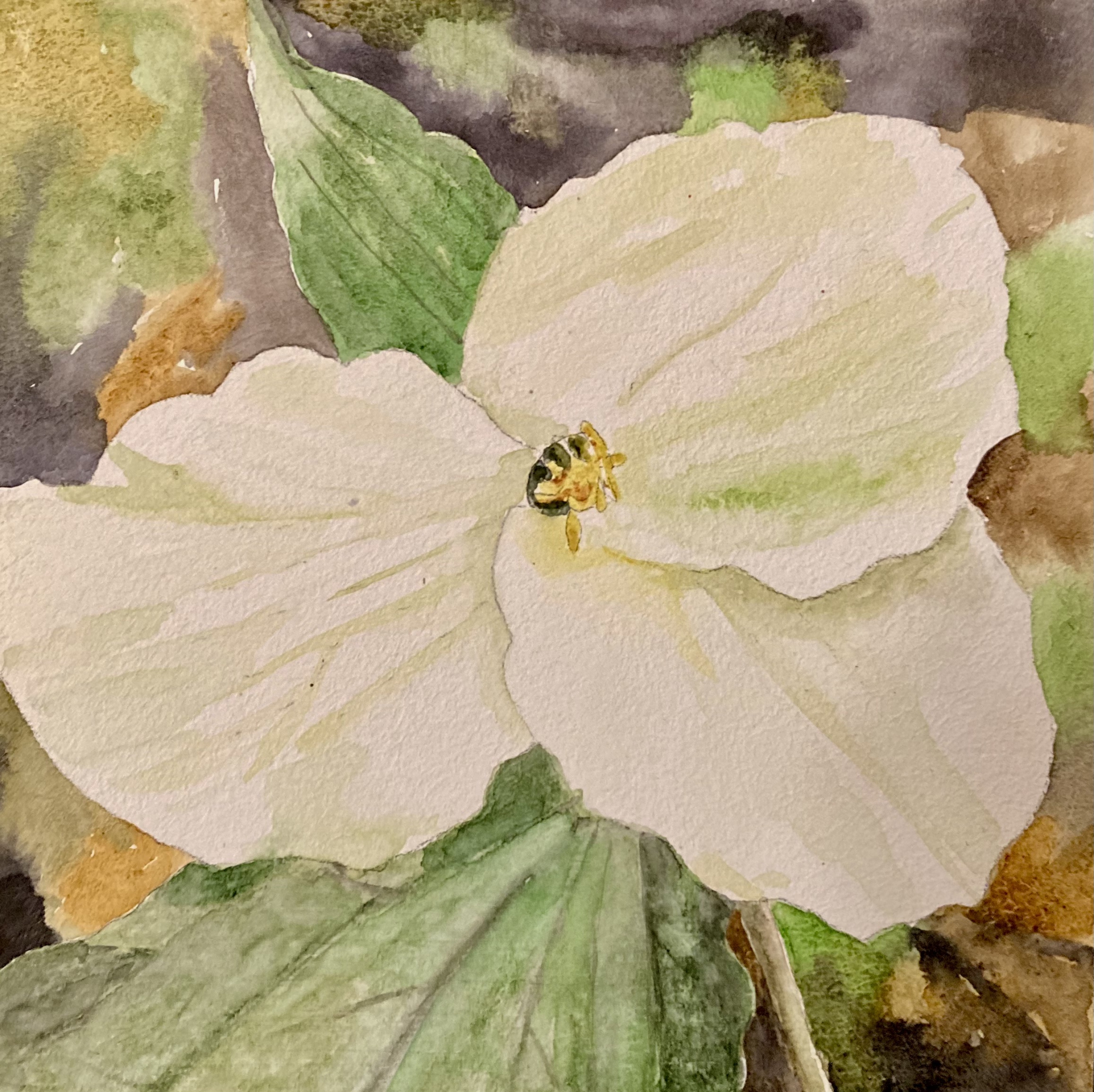 Click here to view Wake-Robin by Bonnie Hastings