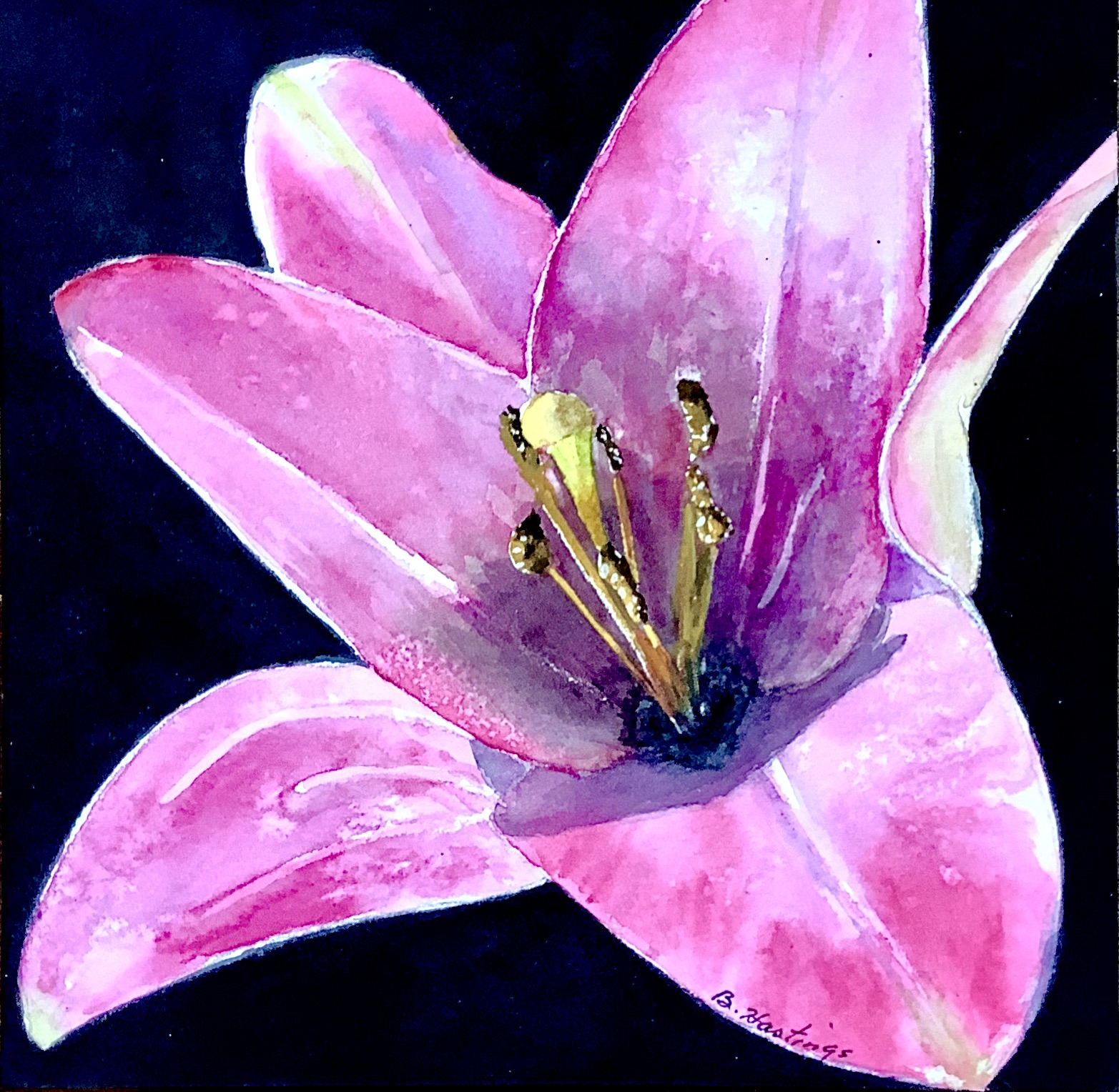 Click here to view Lillium by Bonnie Hastings