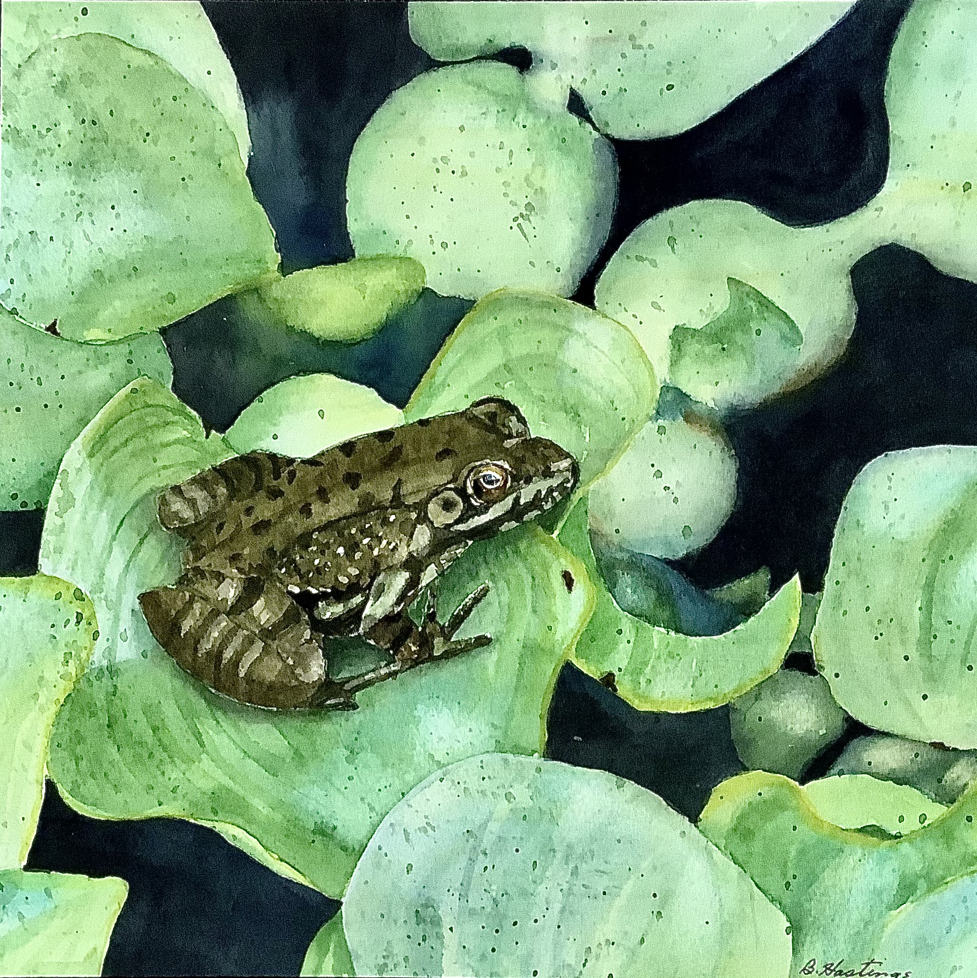 Click here to view Bug Catcher by Bonnie Hastings
