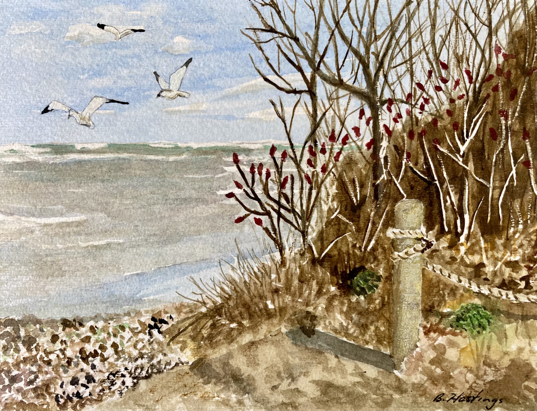 Click here to view Seclusion by Bonnie Hastings