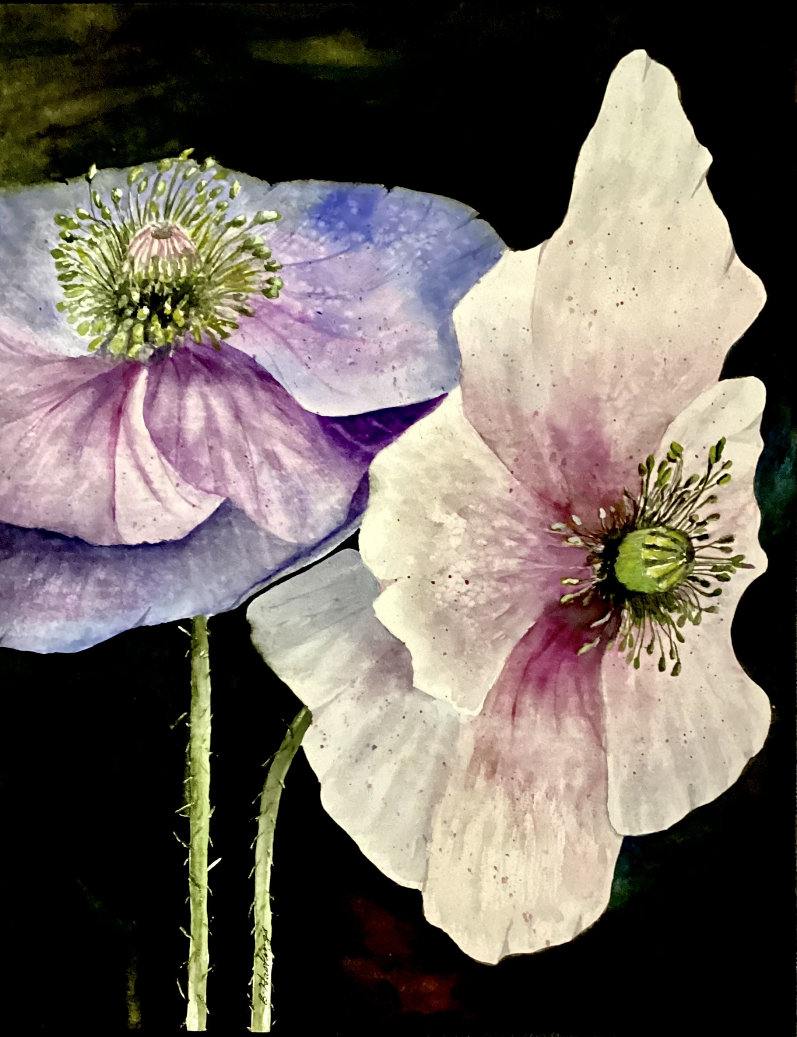 Click here to view Peaceful Poppies by Bonnie Hastings