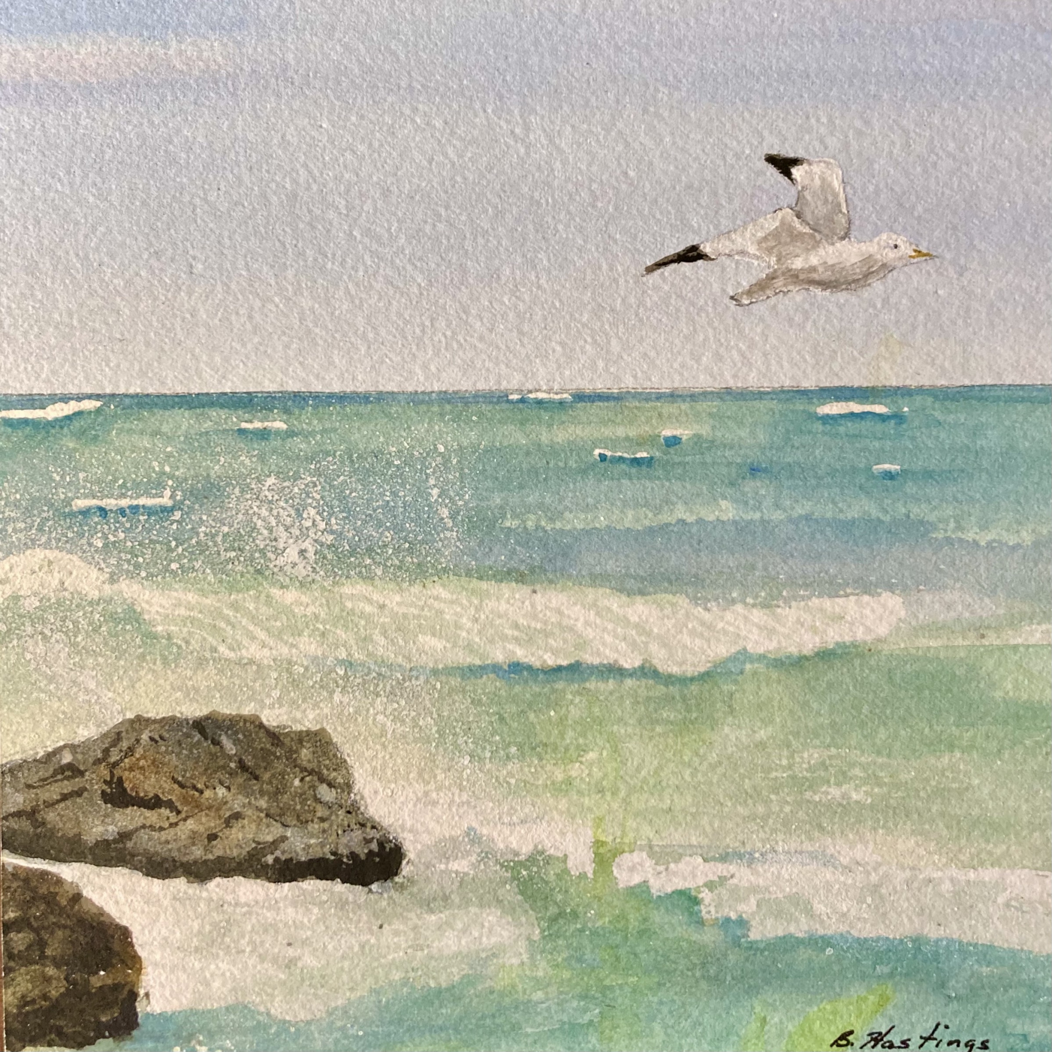 Click here to view Fly Away Home by Bonnie Hastings