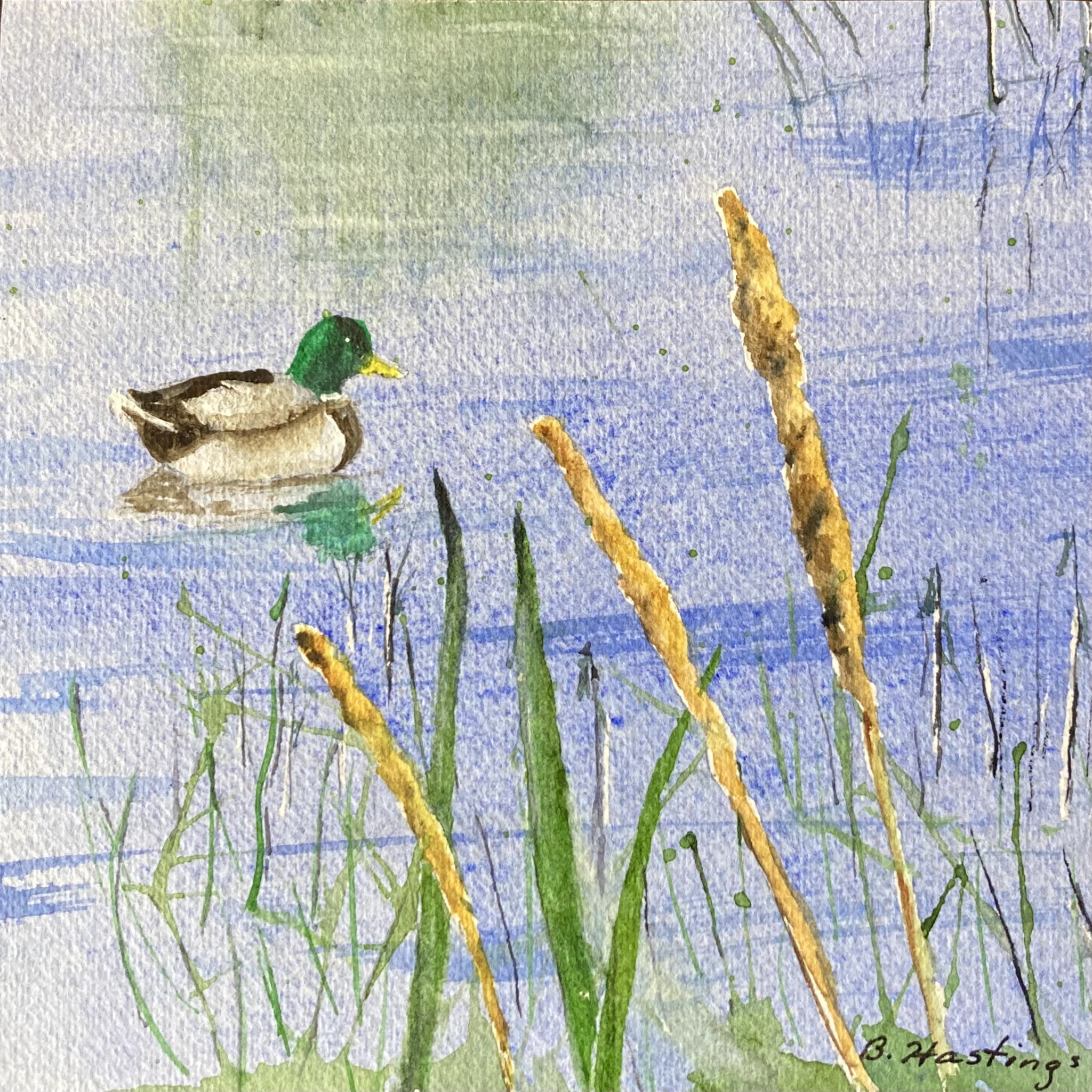 Click here to view Ducky by Bonnie Hastings