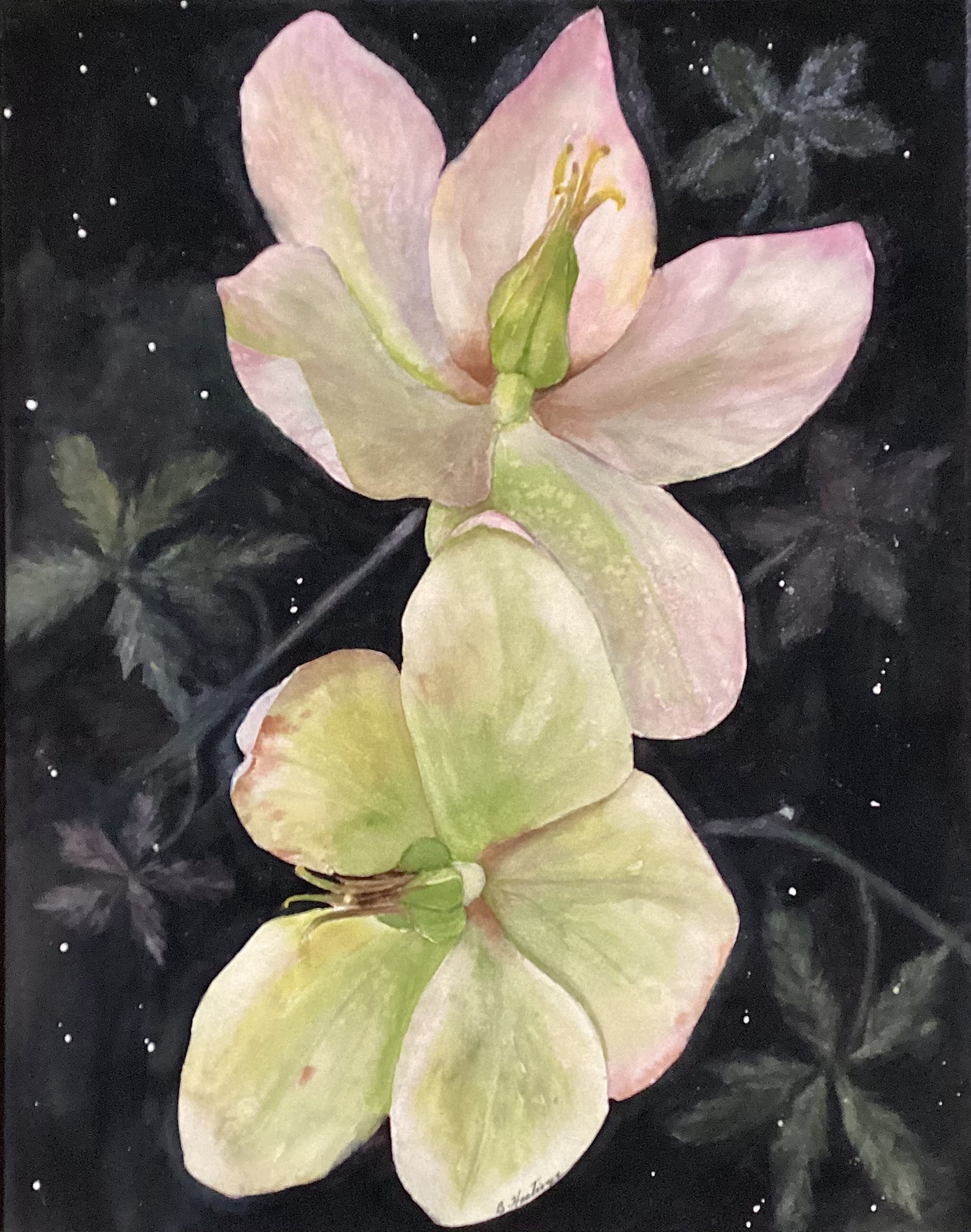 Click here to view Spring Glow by Bonnie Hastings