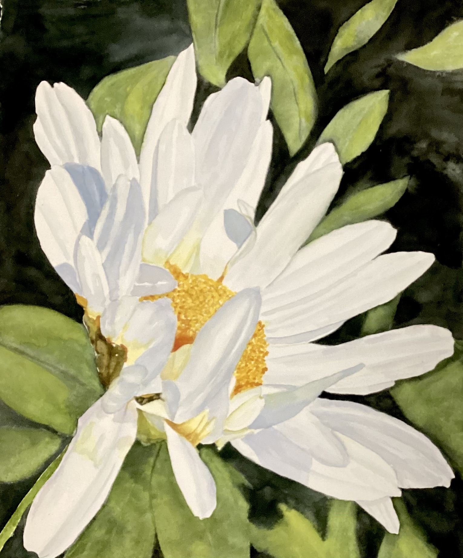 Click here to view A Daisy Knows by Bonnie Hastings